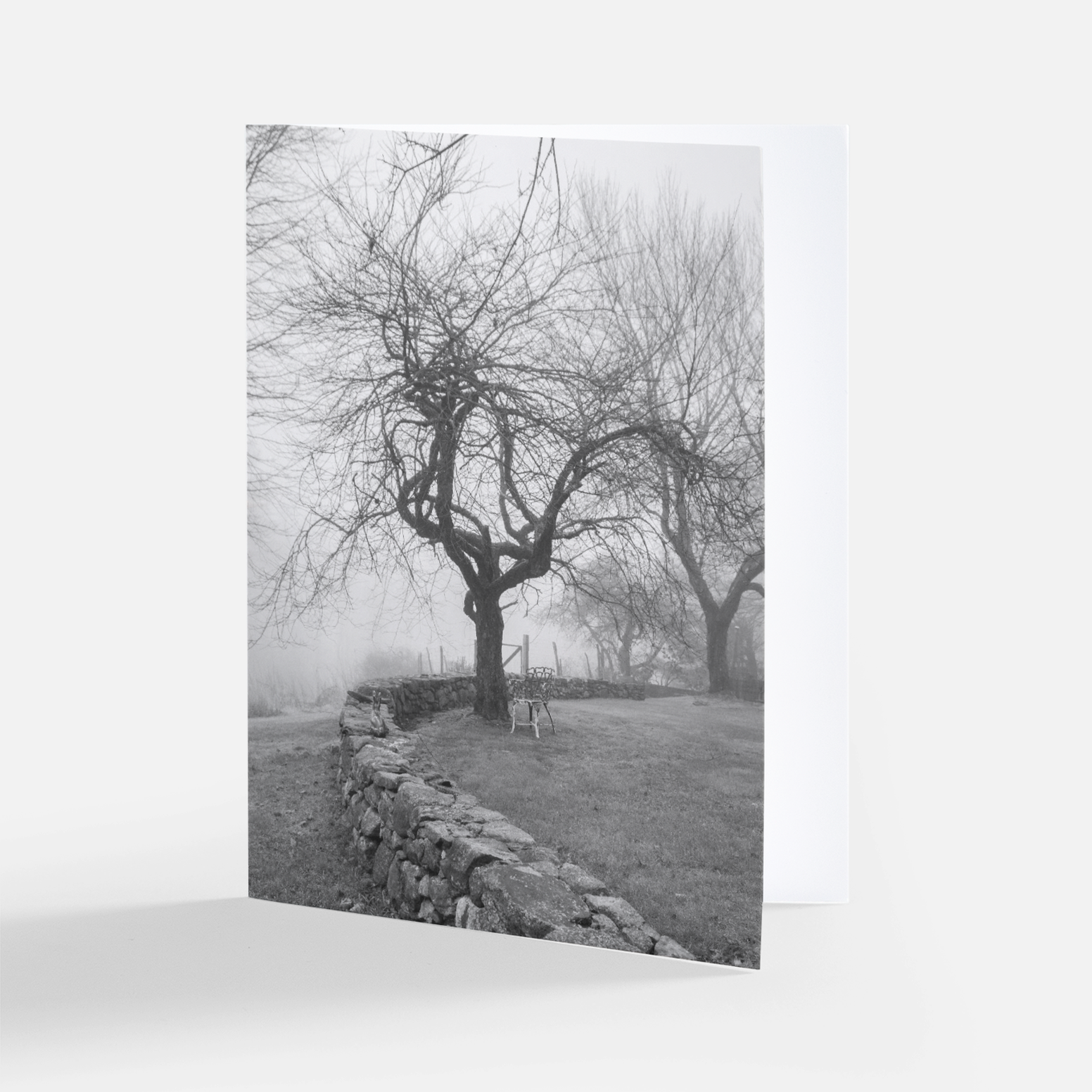 True North - Black & White Collection