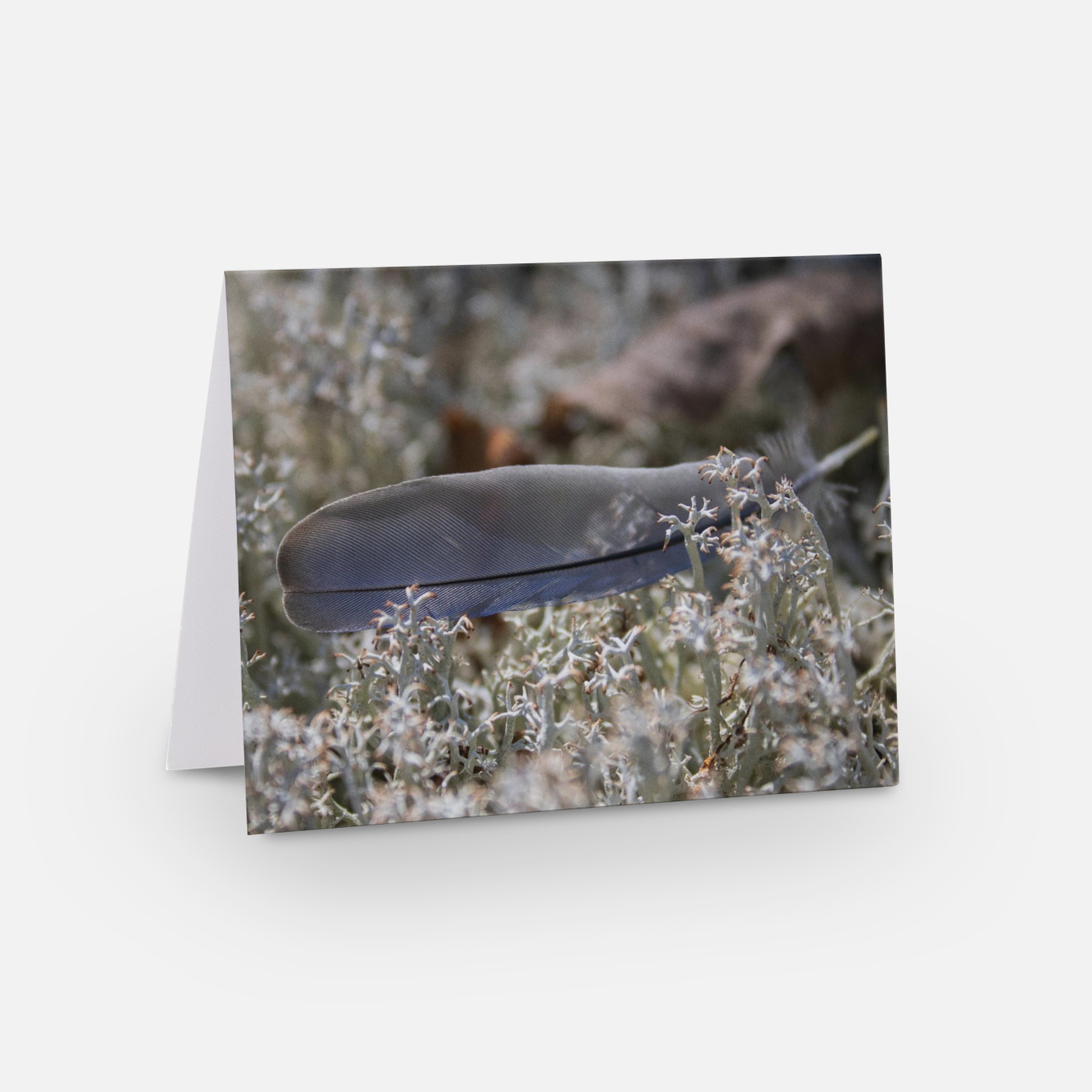 Feather Card.png