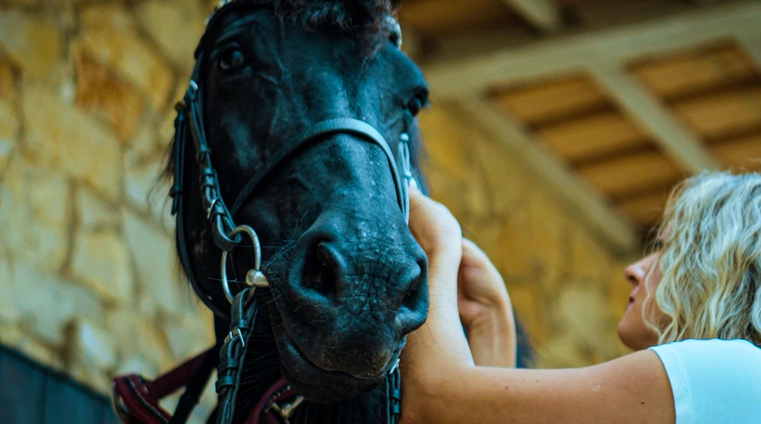 Casa Lusitana Algarve - Brand Film