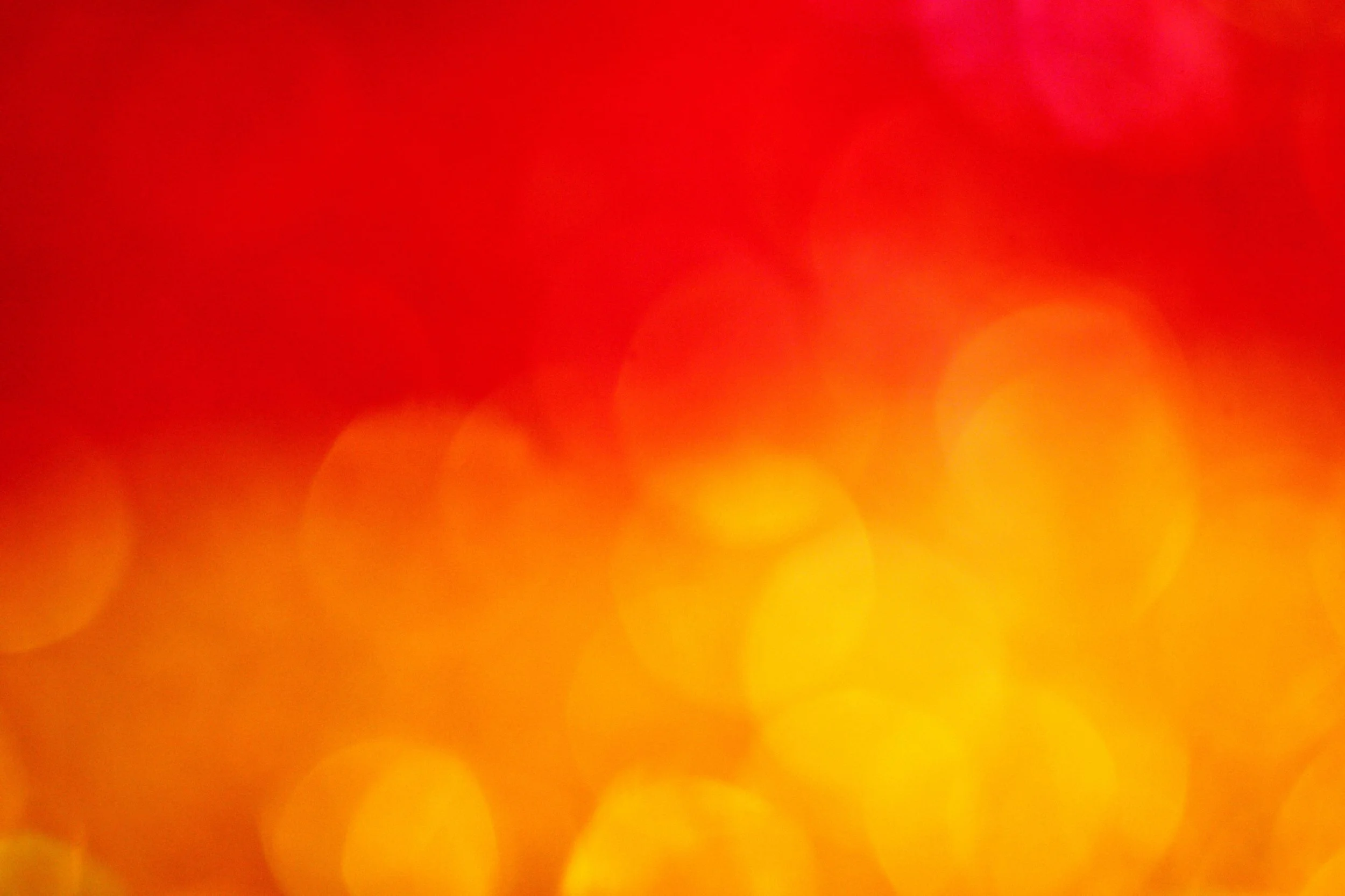 De Weg naar Kona - 2