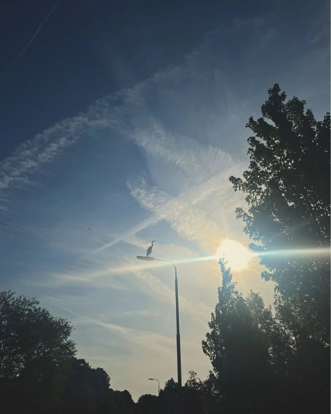 reiger hardlopen geduld training