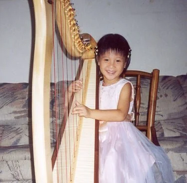 My harp journey: "over 20 years of experience"?