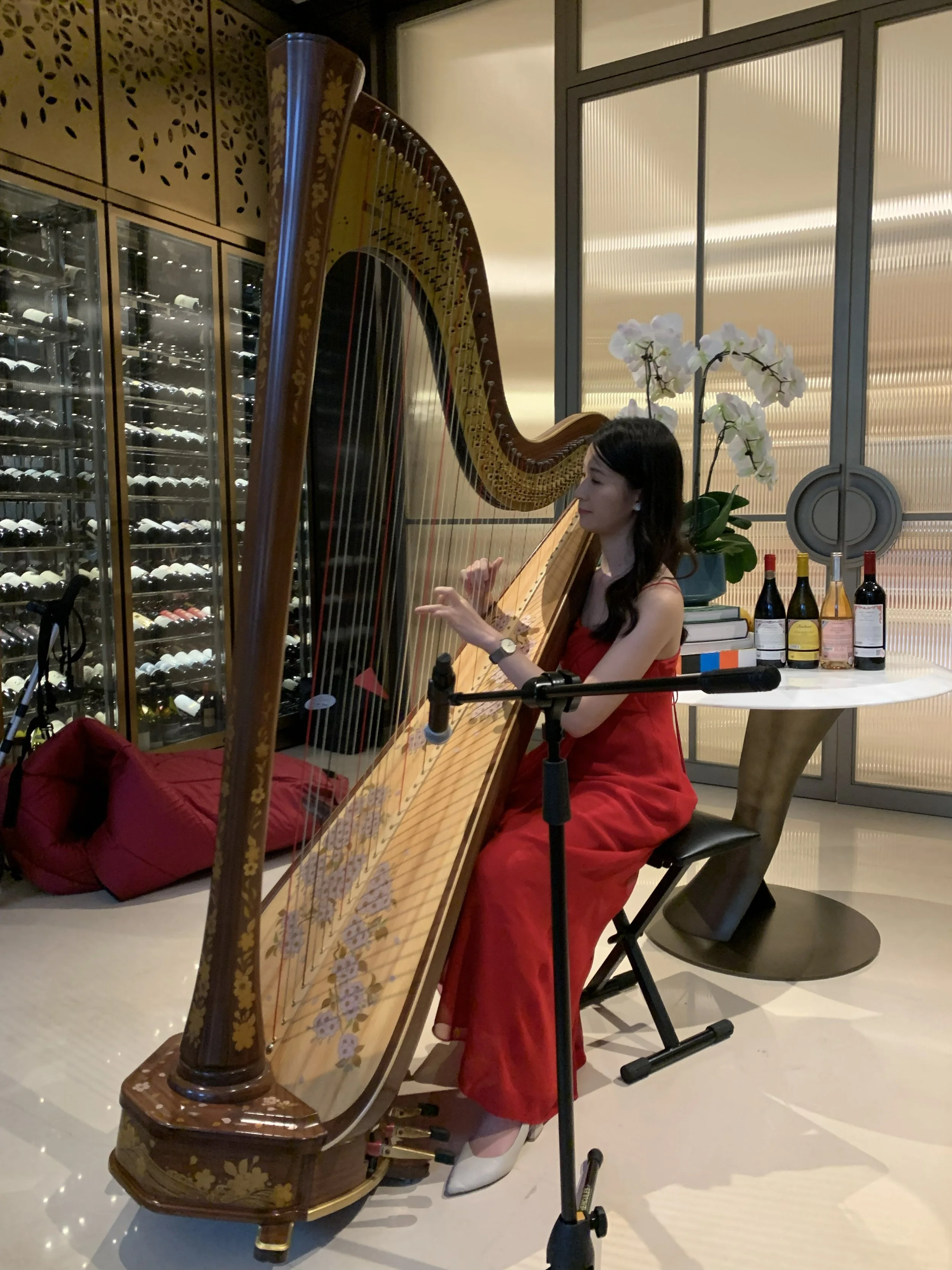 This is how I bring my harp to gigs