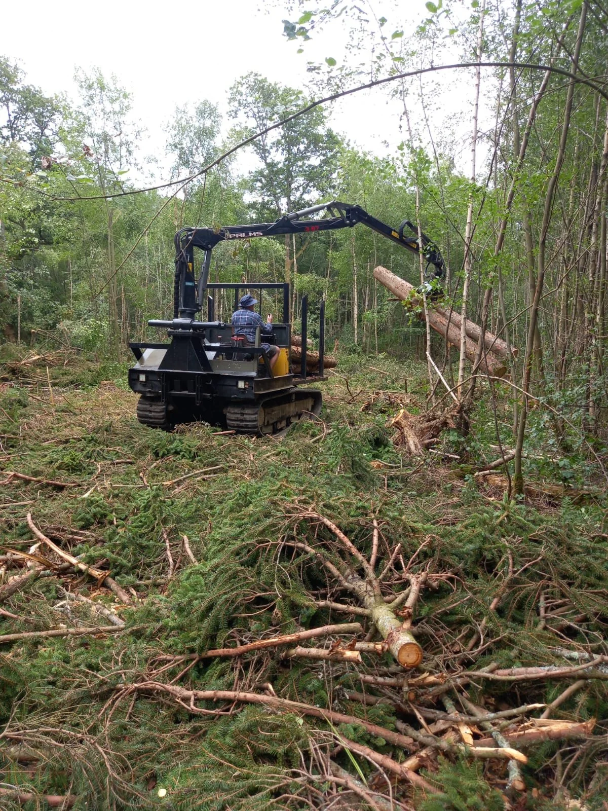 Forwarding timber with the tracked dumper