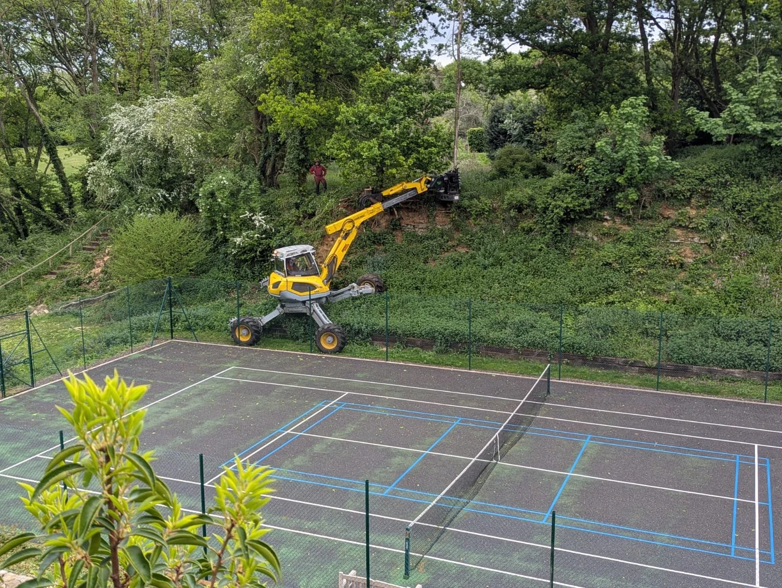 Menzi Muck and grapple saw for steep slope ash dieback removal with access restrictions