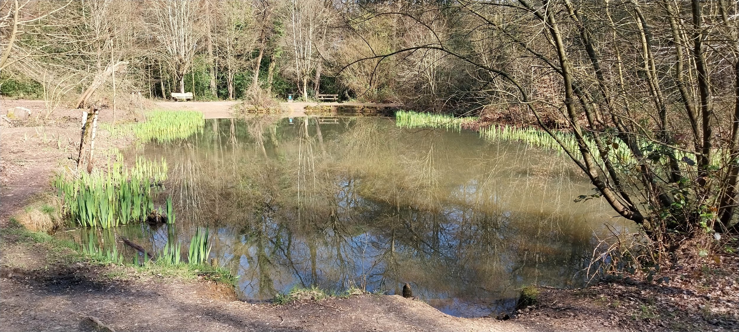 Pond restoration