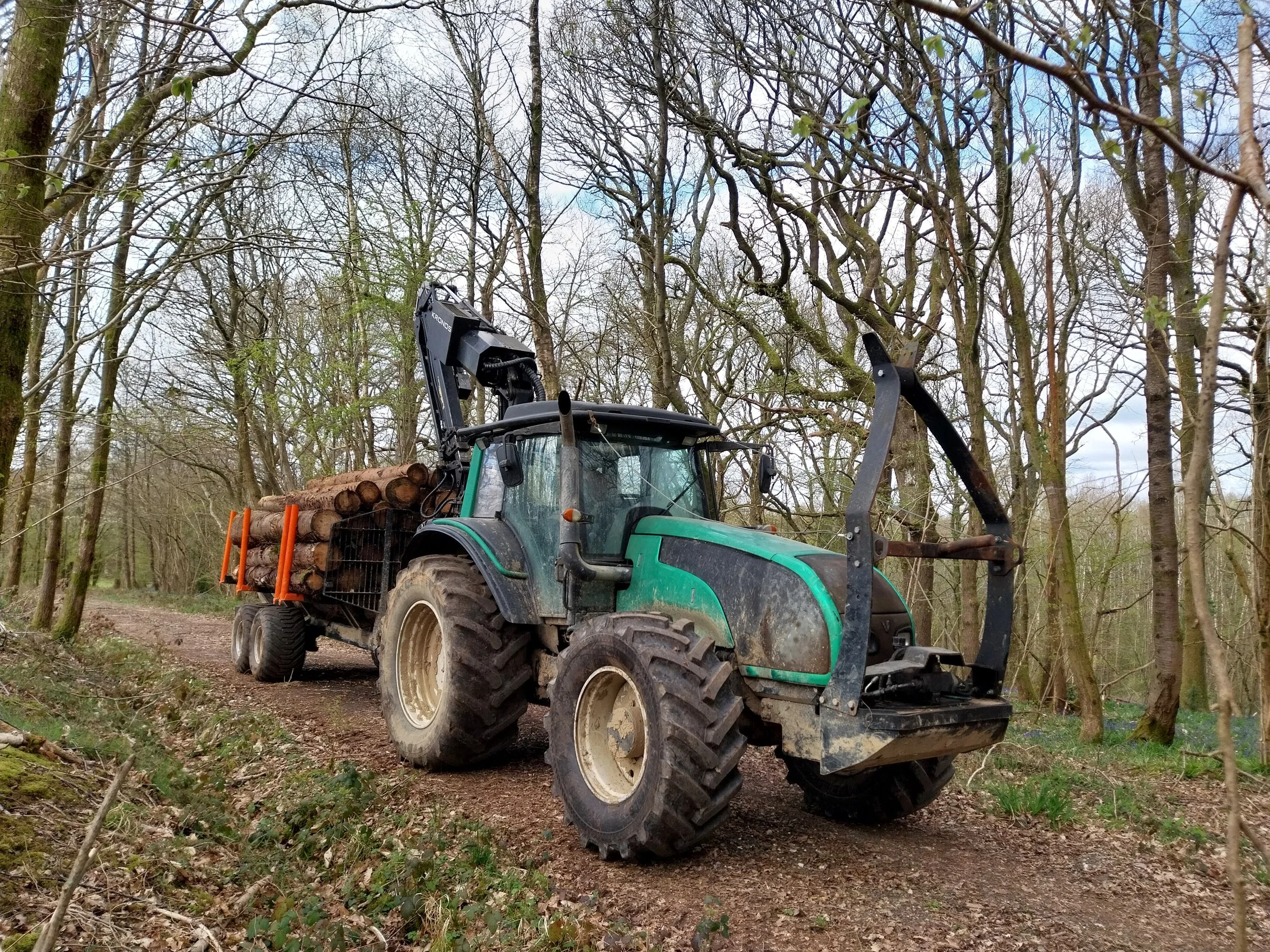 Valtra with BMF 12t2 Pro timber trailer, forwarding spruce logs impacted by Ips typographus