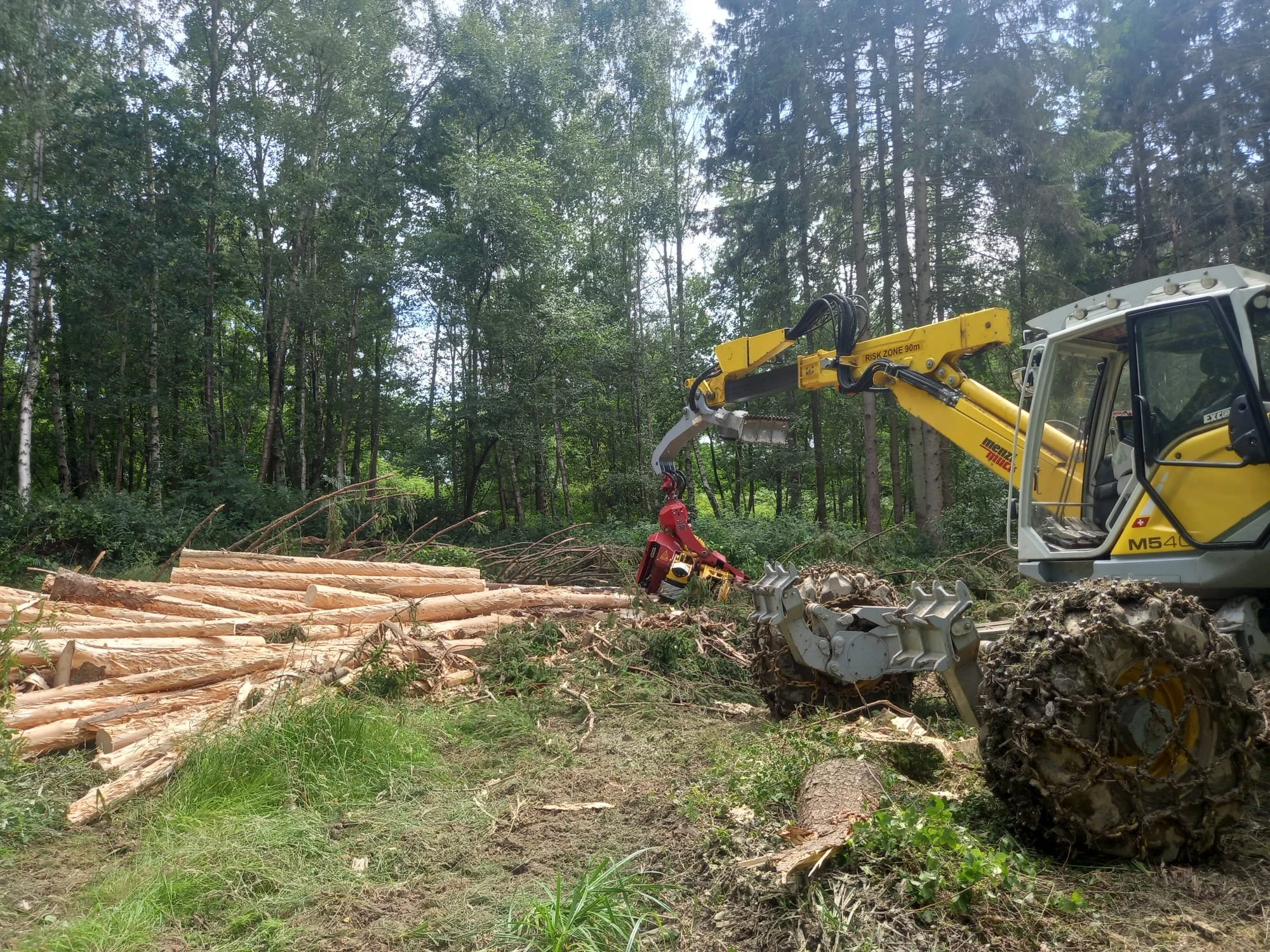 Harvesting of spruce impacted by Ips typographus
