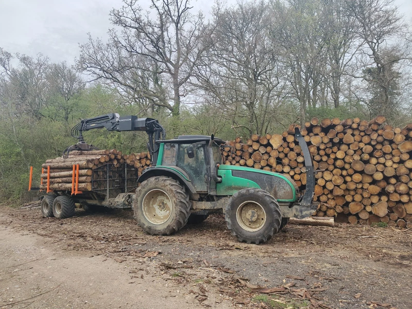 Valtra with BMF 12t2 Pro timber trailer, forwarding spruce logs