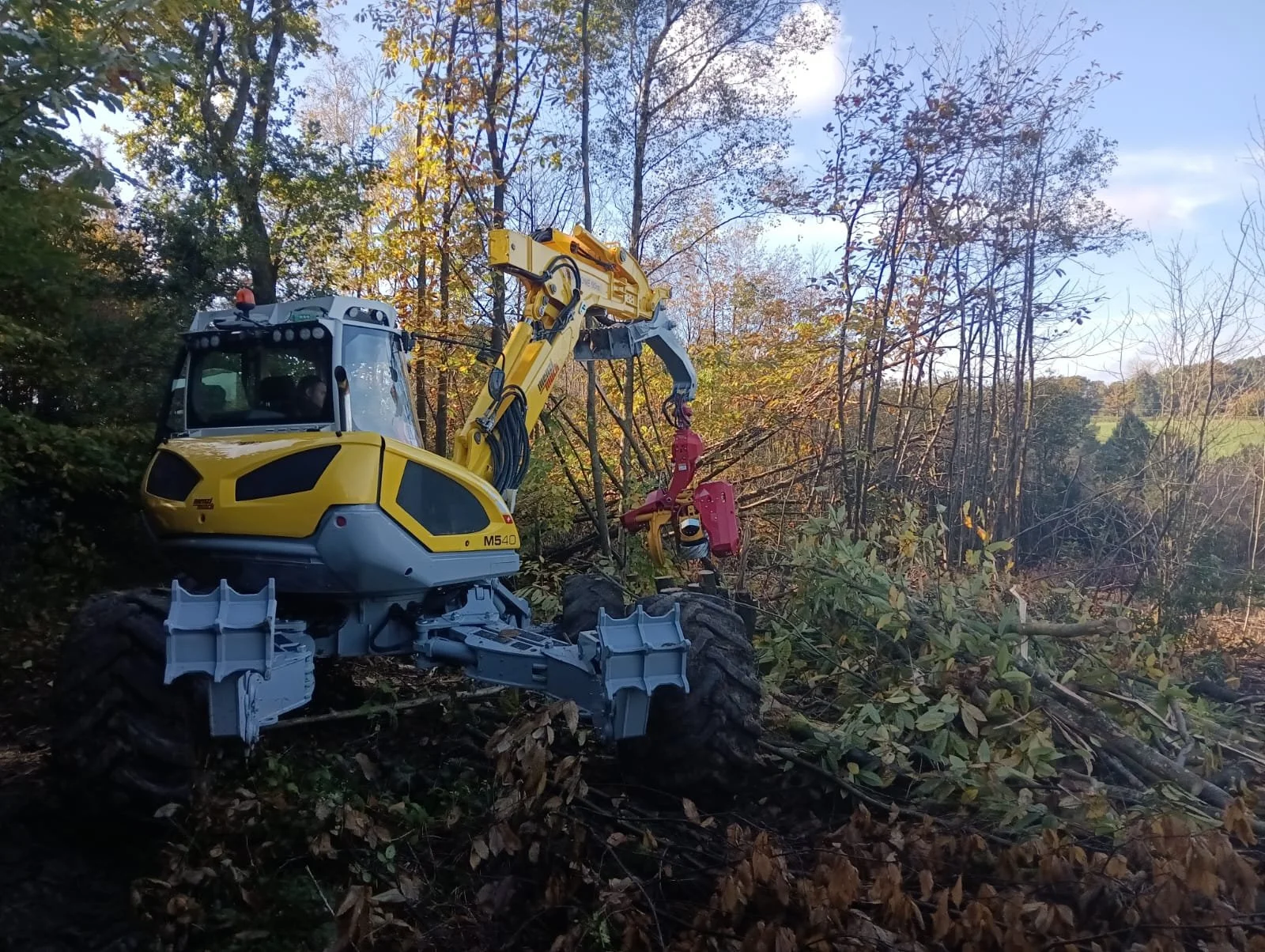 Menzi Muck on woodland thinning on steep slope