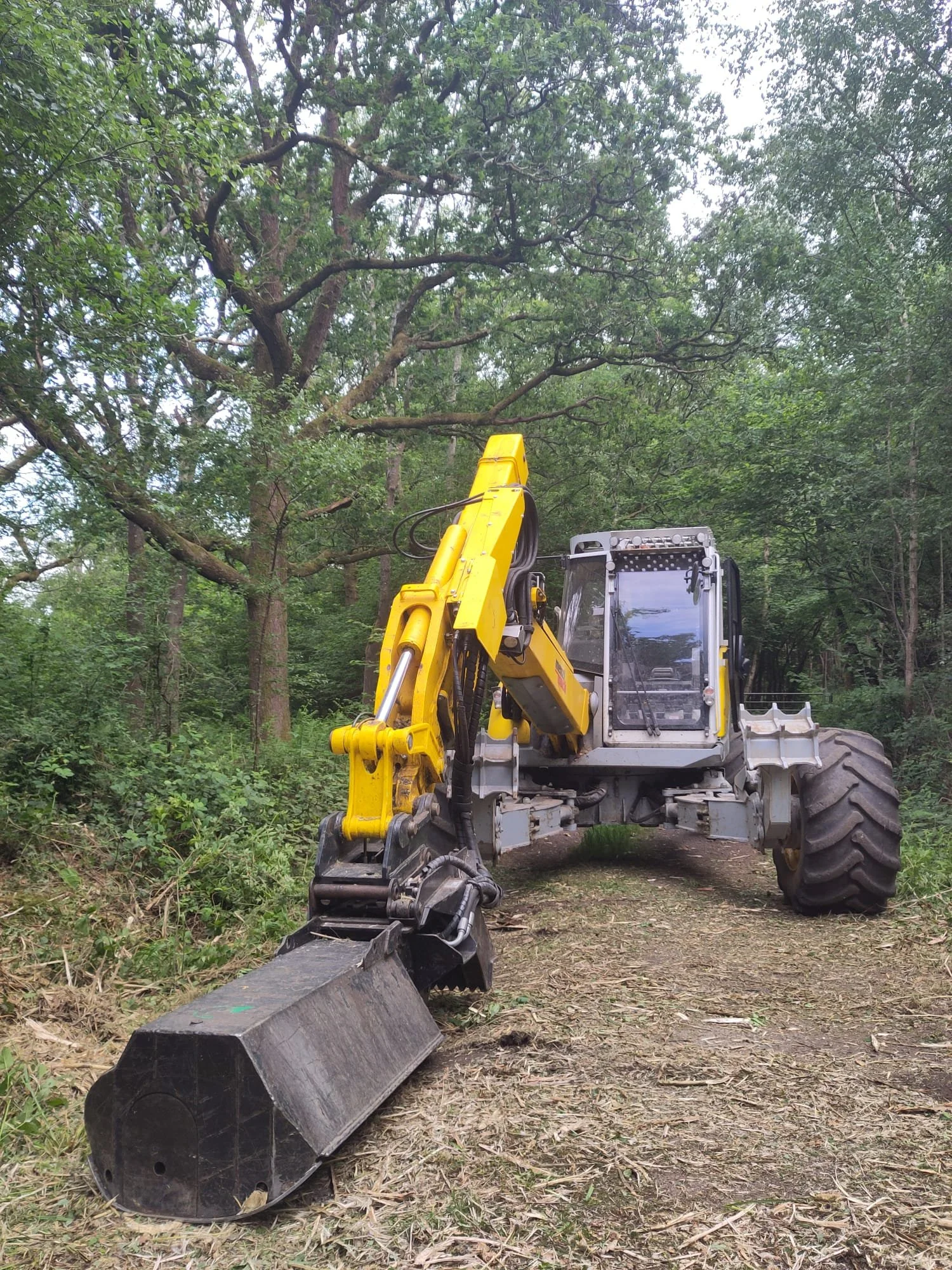 Menzi Muck with forestry mulcher to clear tracks 