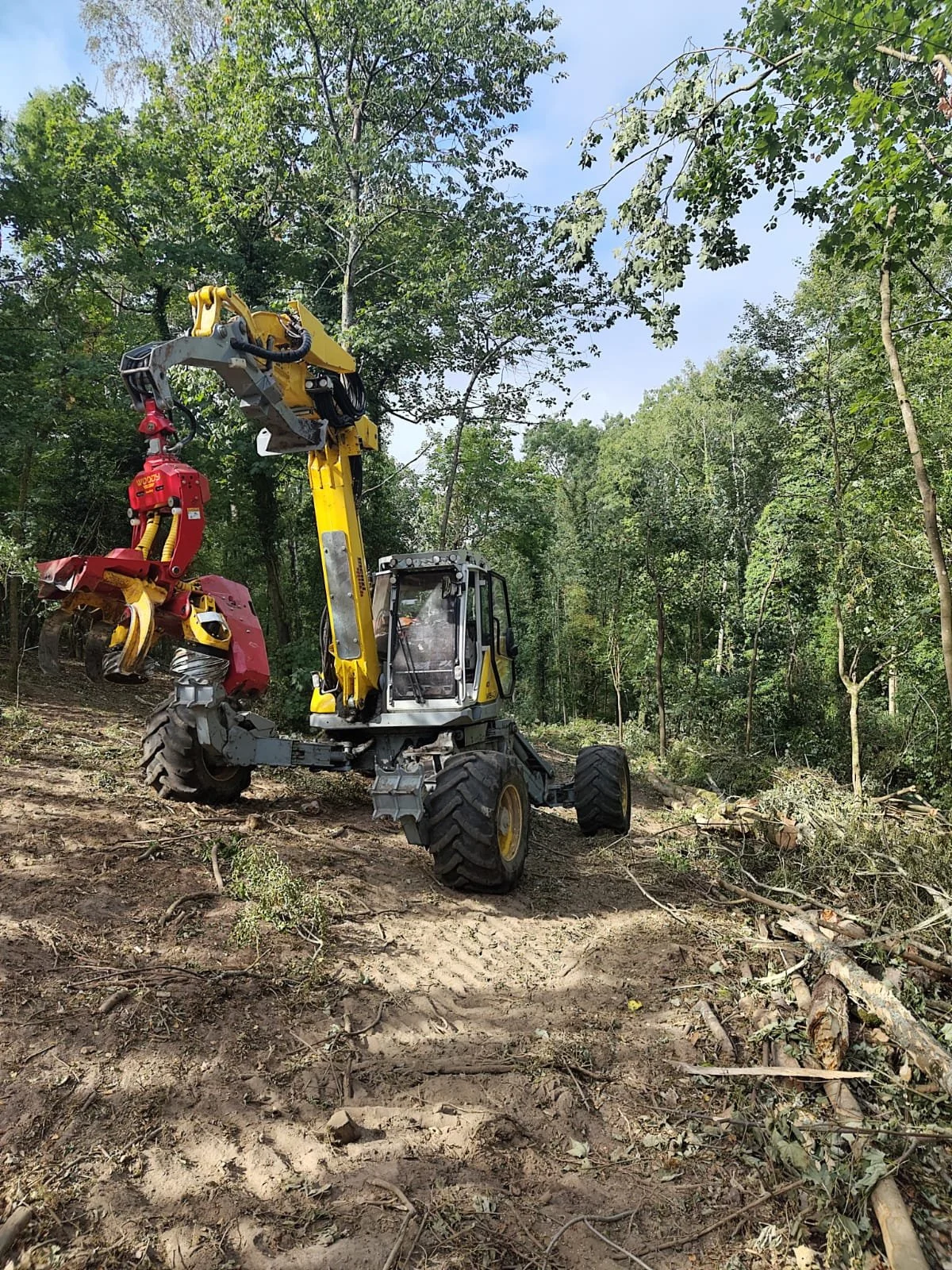 Menzi Muck machine on forestry slope