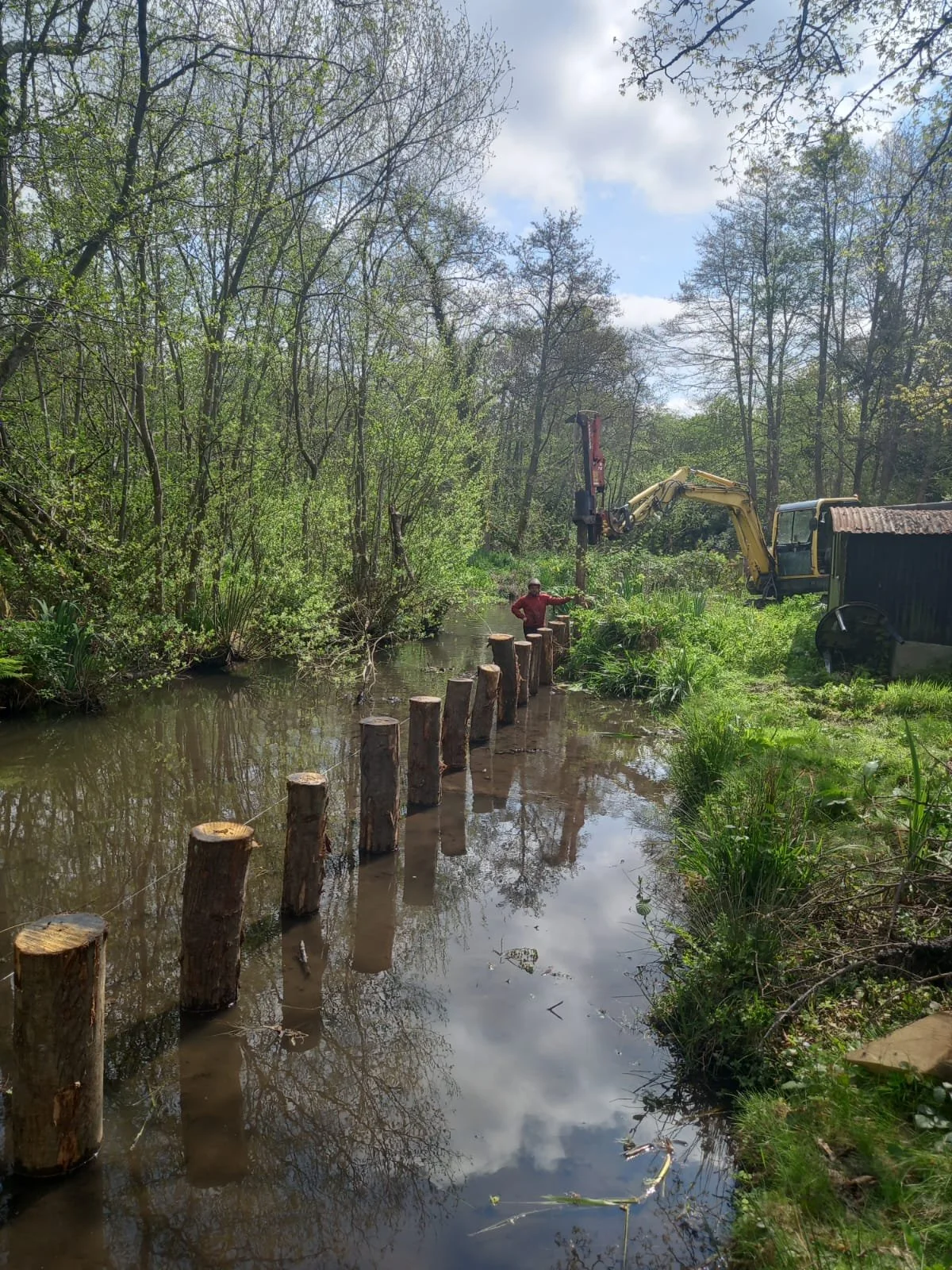 River bank reinforcement using chestnut posts produced from a previous local forestry job