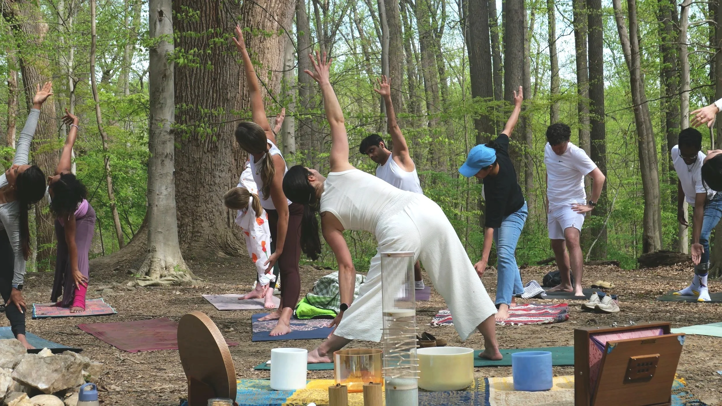 A group of people practicing yoga or meditation outdoors in a forest, standing on mats with arms raised or bent, surrounded by trees and nature.