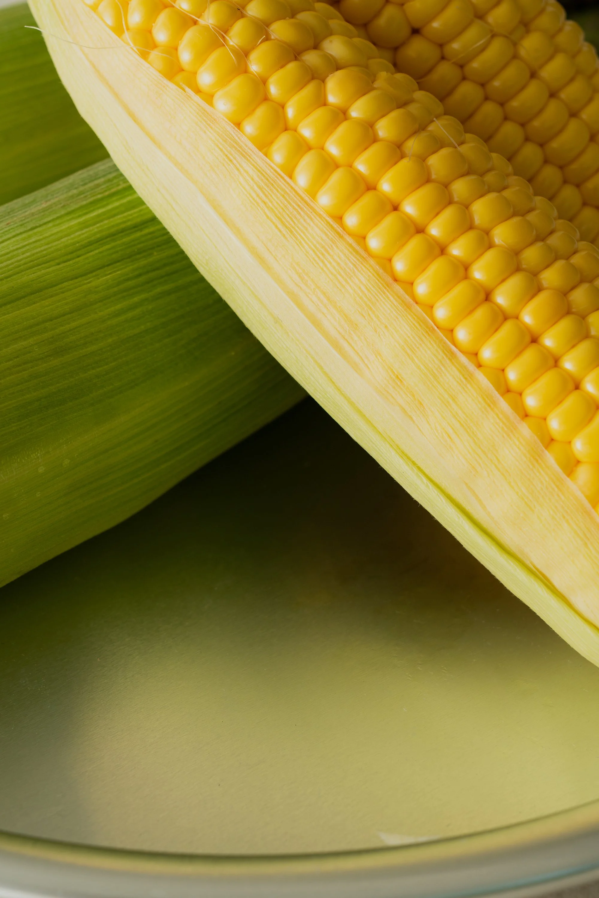 A_20250622_Vegeco7381 re.jpg