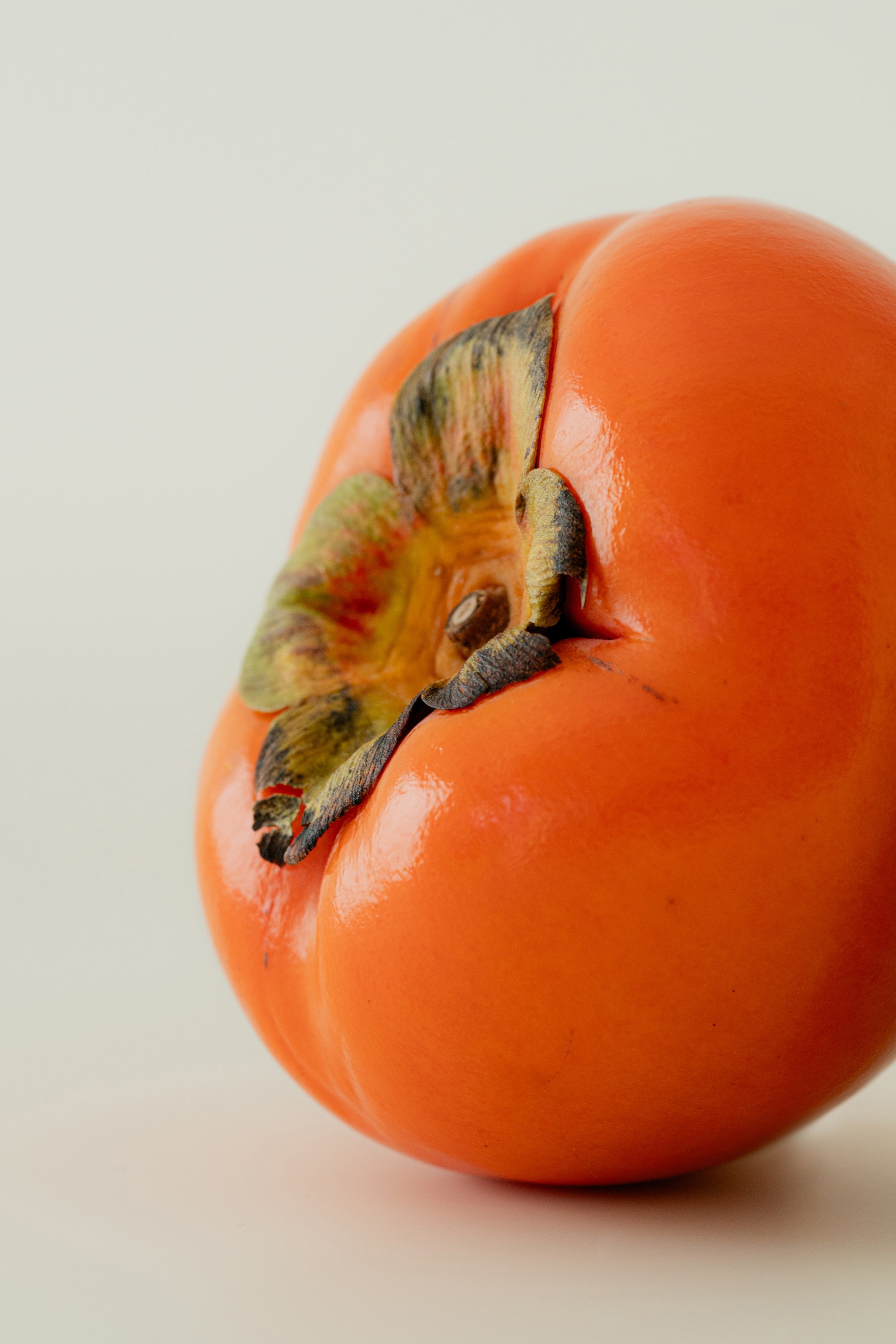 A_202412베지코9252 re.jpg