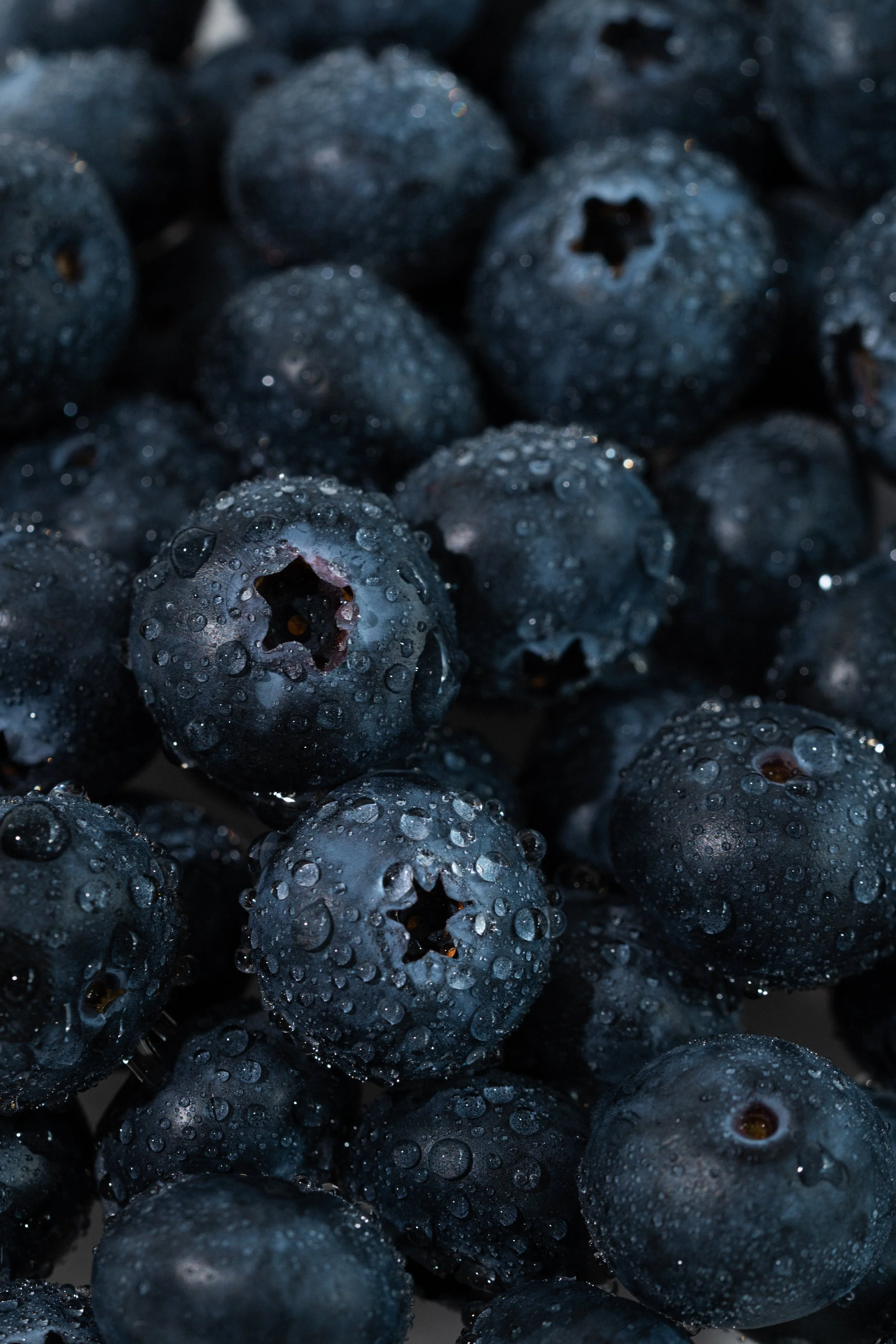 A_250316_ Vegeco5130.jpg