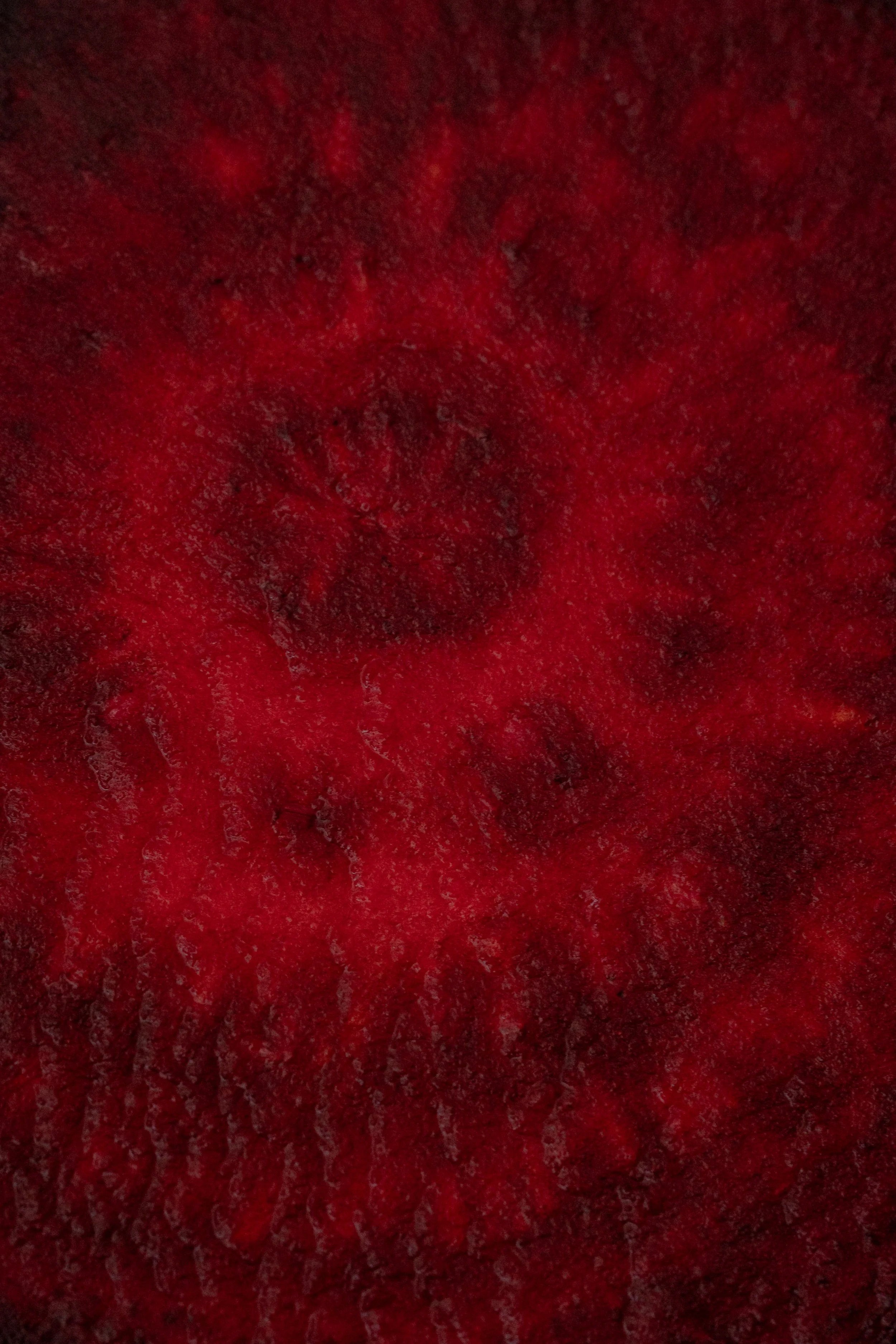 A_250316_ Vegeco5359.jpg