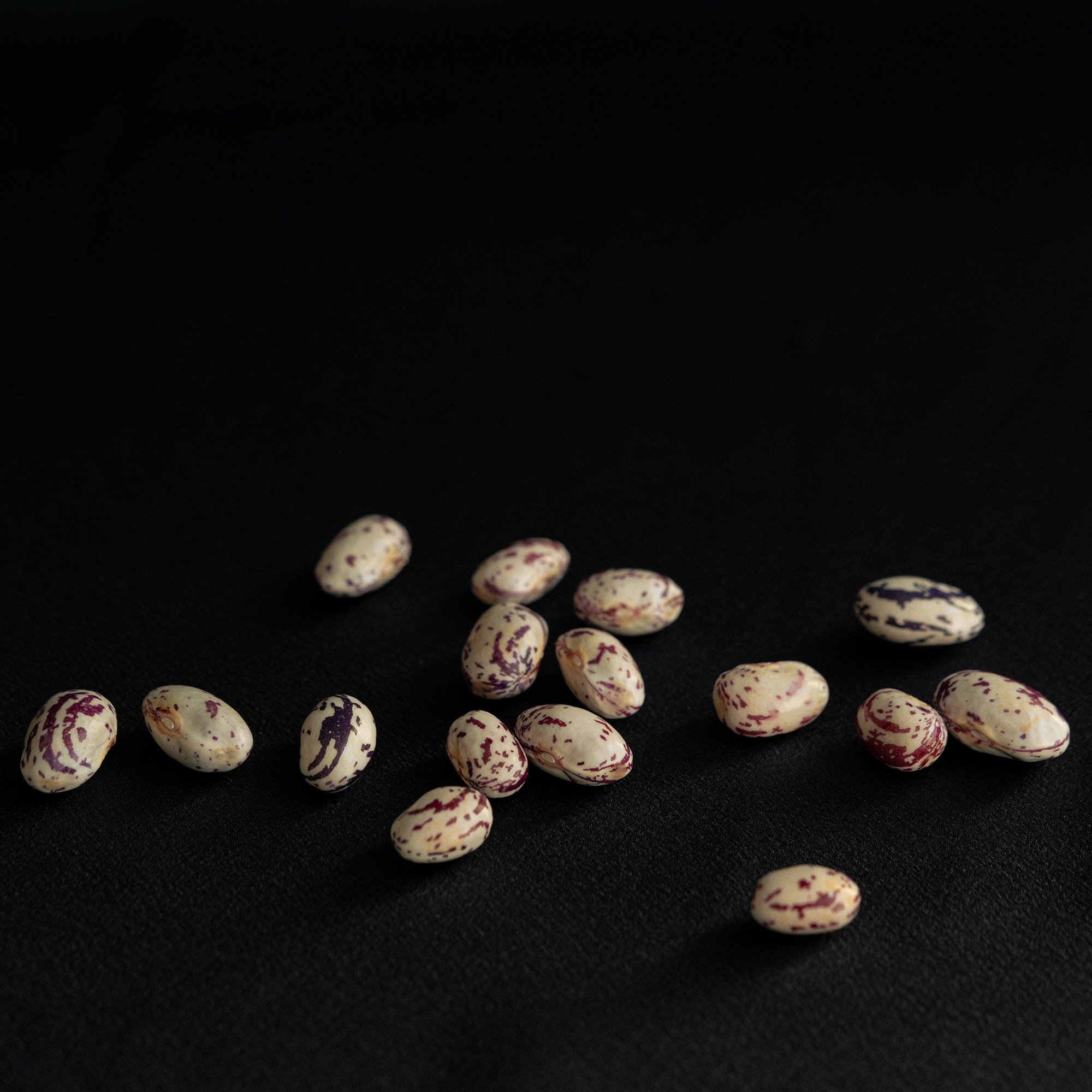 오락가락 원물_39_resize.jpg