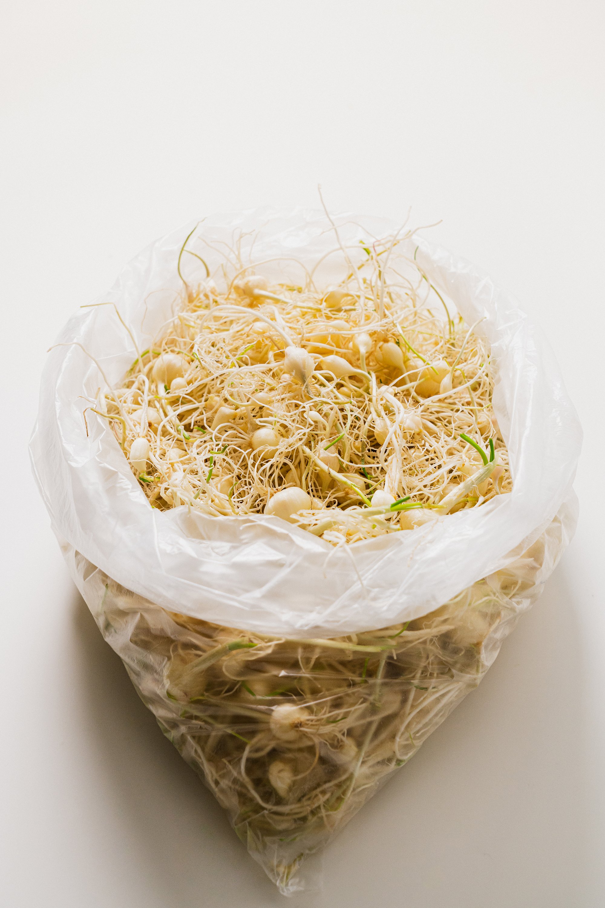 A_202412베지코8986 re.jpg