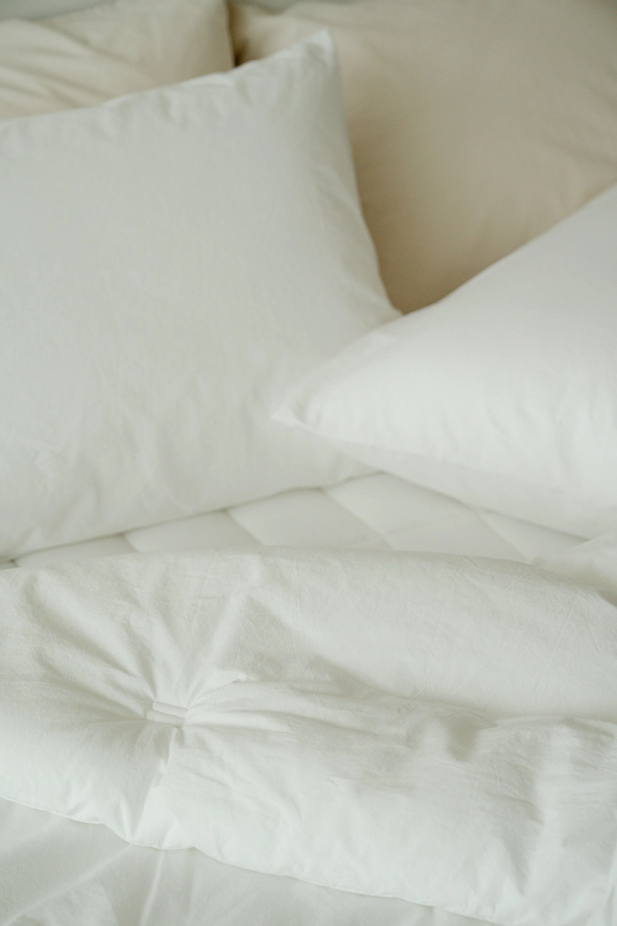 A_250715_KIBON4449 re.jpg