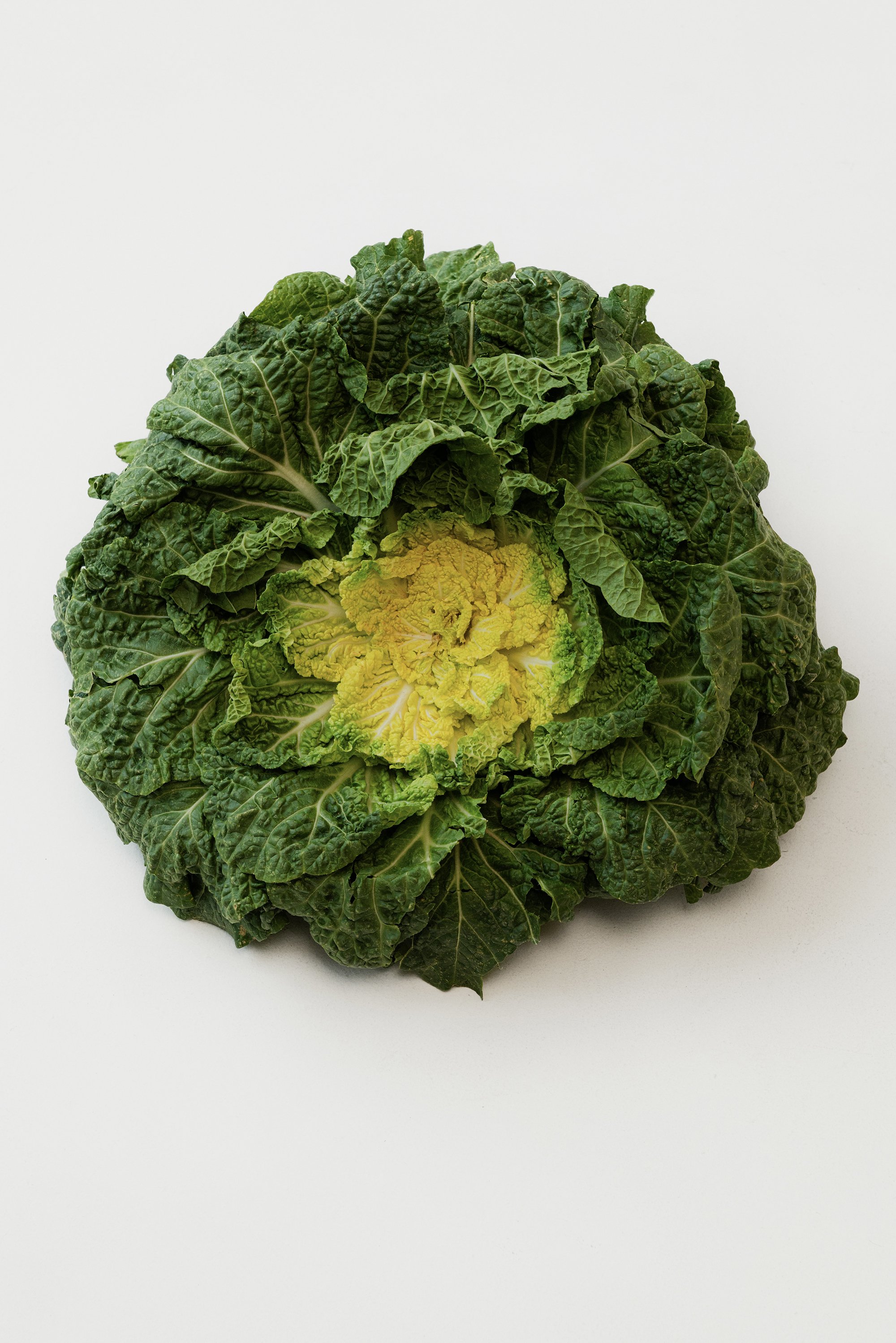 A_202412베지코8968 re.jpg