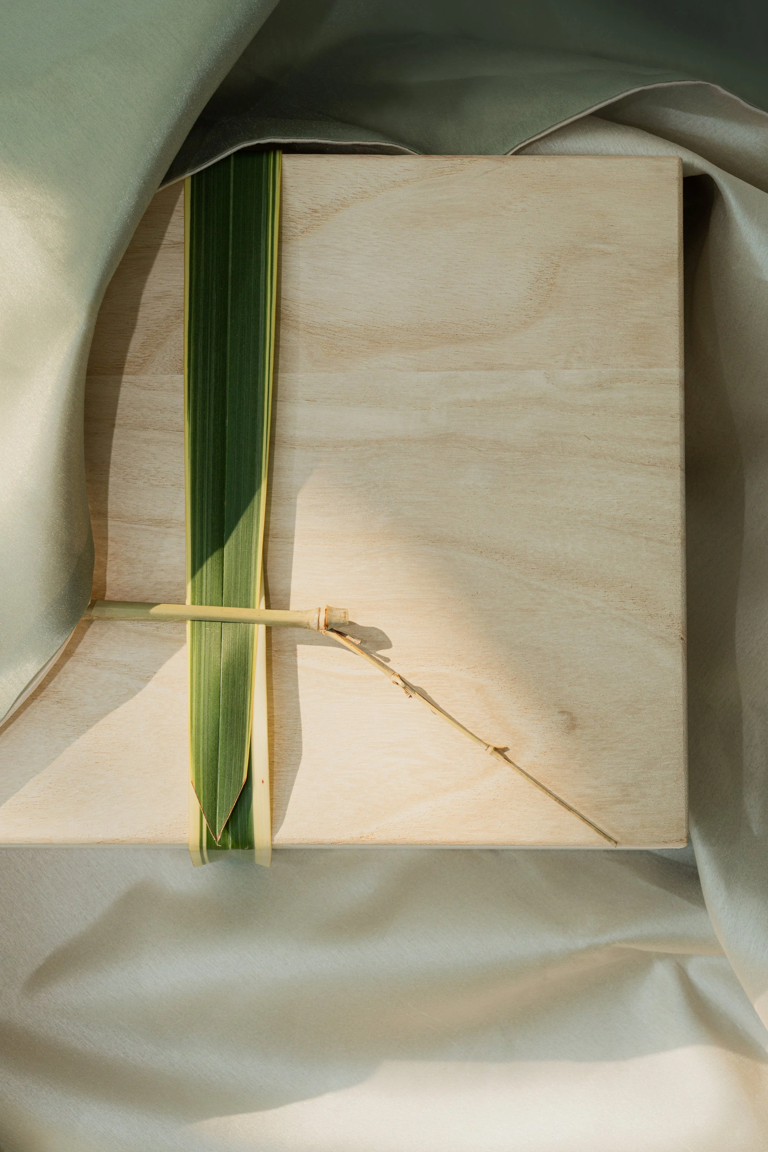 VEGECO : PEAK COLLECTION