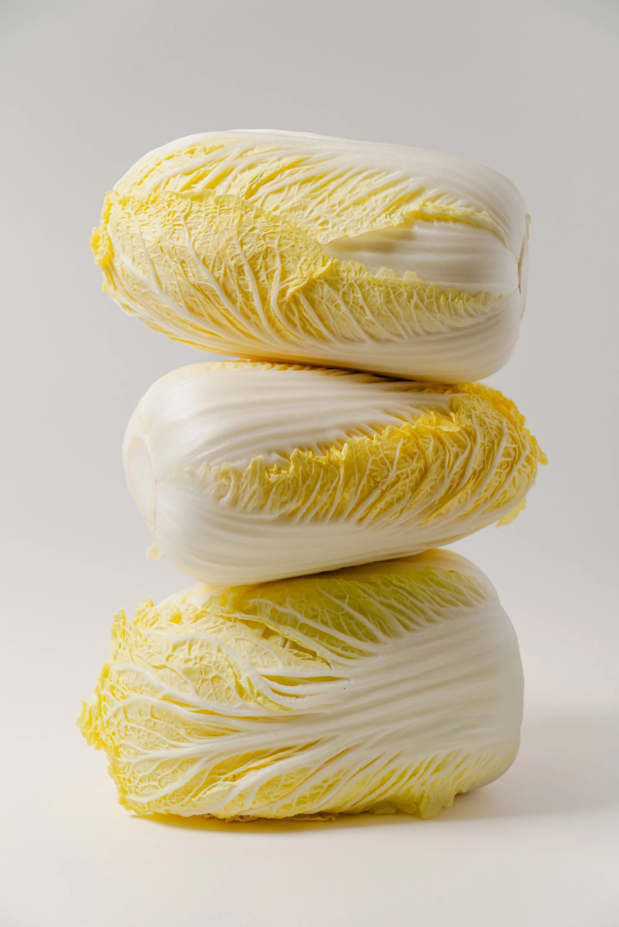 A_202412베지코9003 re.jpg