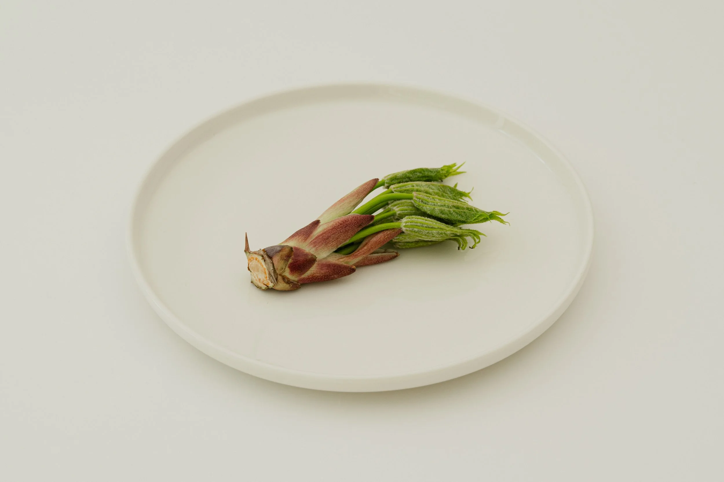 VEGECO 2025