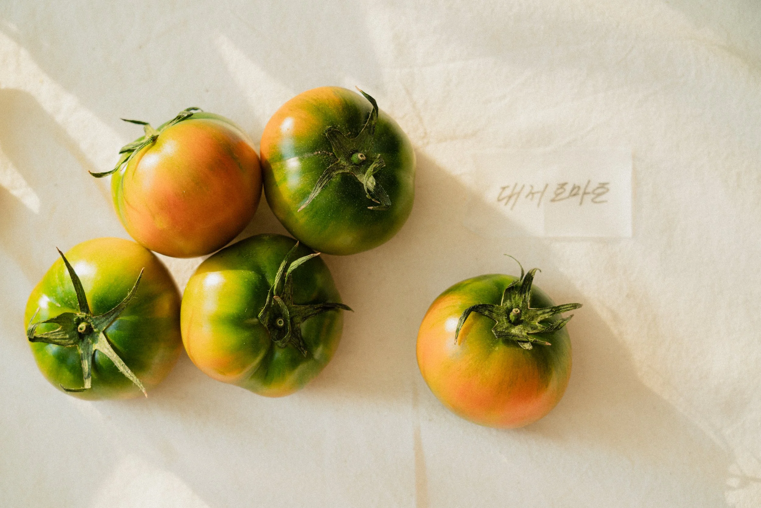 A_250316_ Vegeco5307.jpg