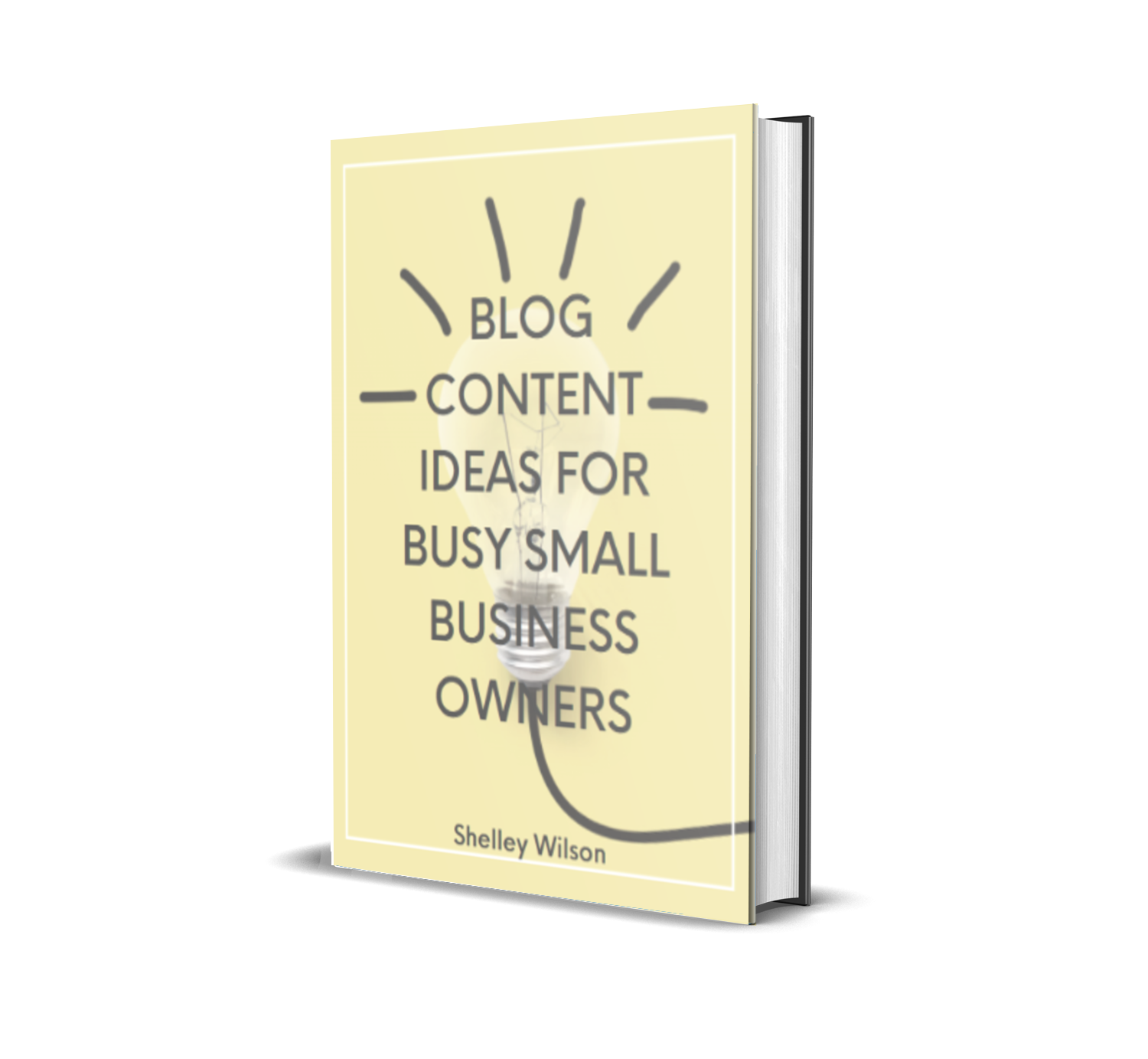 A book titled 'Blog Content Ideas for Busy Small Business Owners' by Shelley Wilson, featuring a yellow cover with a lightbulb illustration and black text.