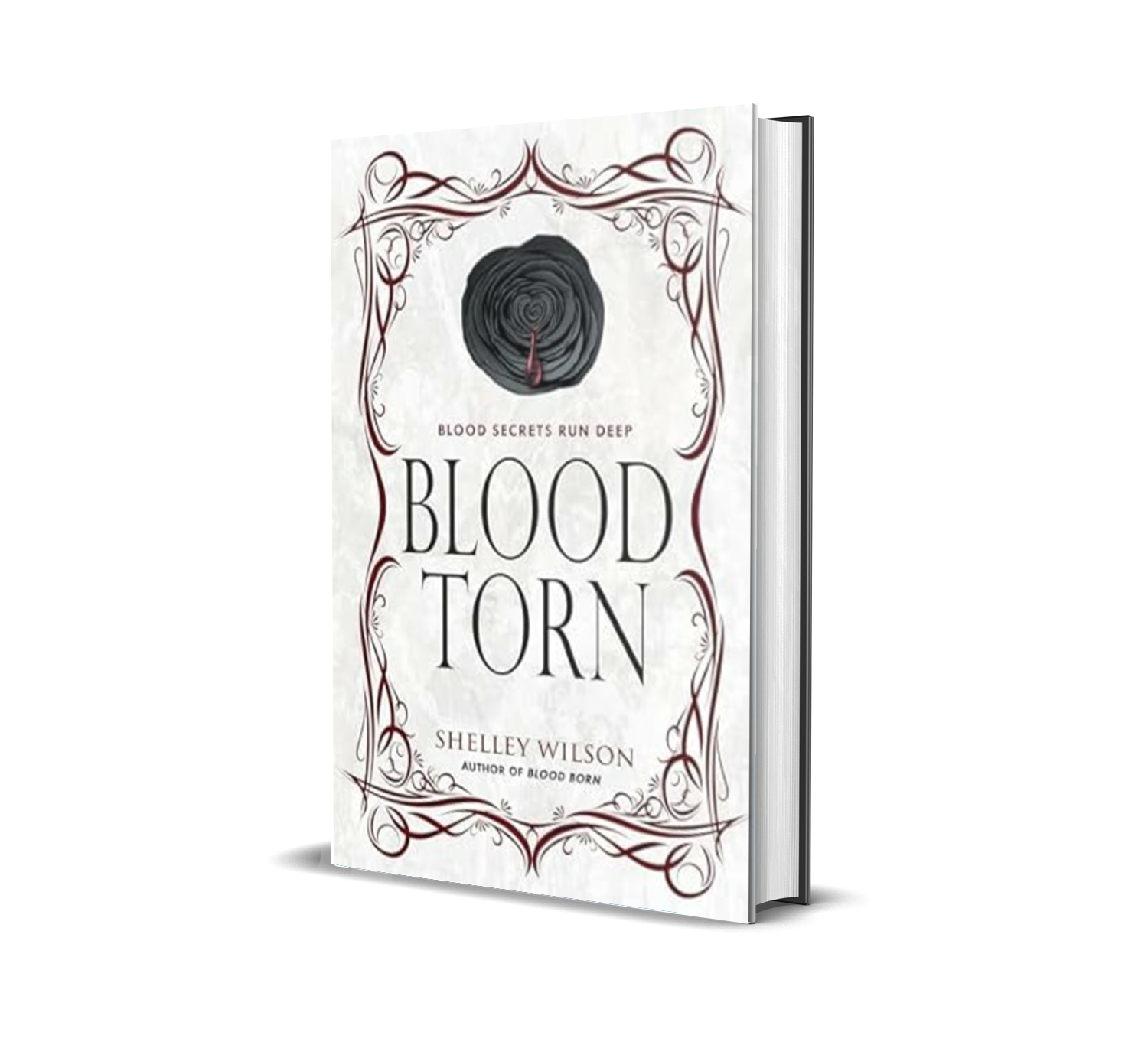 Book cover titled "Blood Torn" by Shelley Wilson, with a dark spiral and a single drop of blood on the cover.