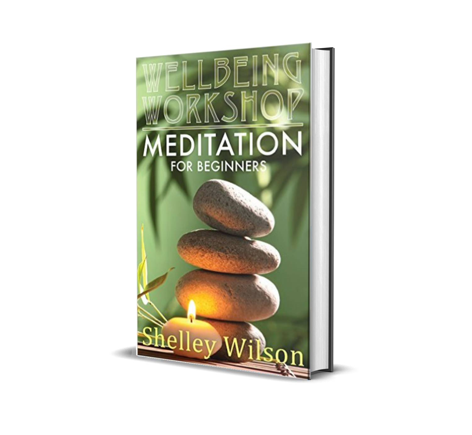 Book titled 'Wellbeing Workshop Meditation for Beginners' by Shelley Wilson, featuring a cover with stacked stones, a lit candle, and a blurred green background.