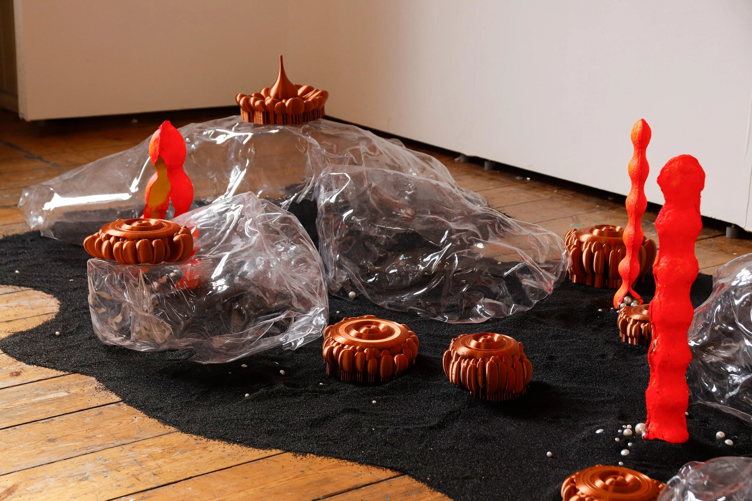 A Seeding Ecosystem, 2025