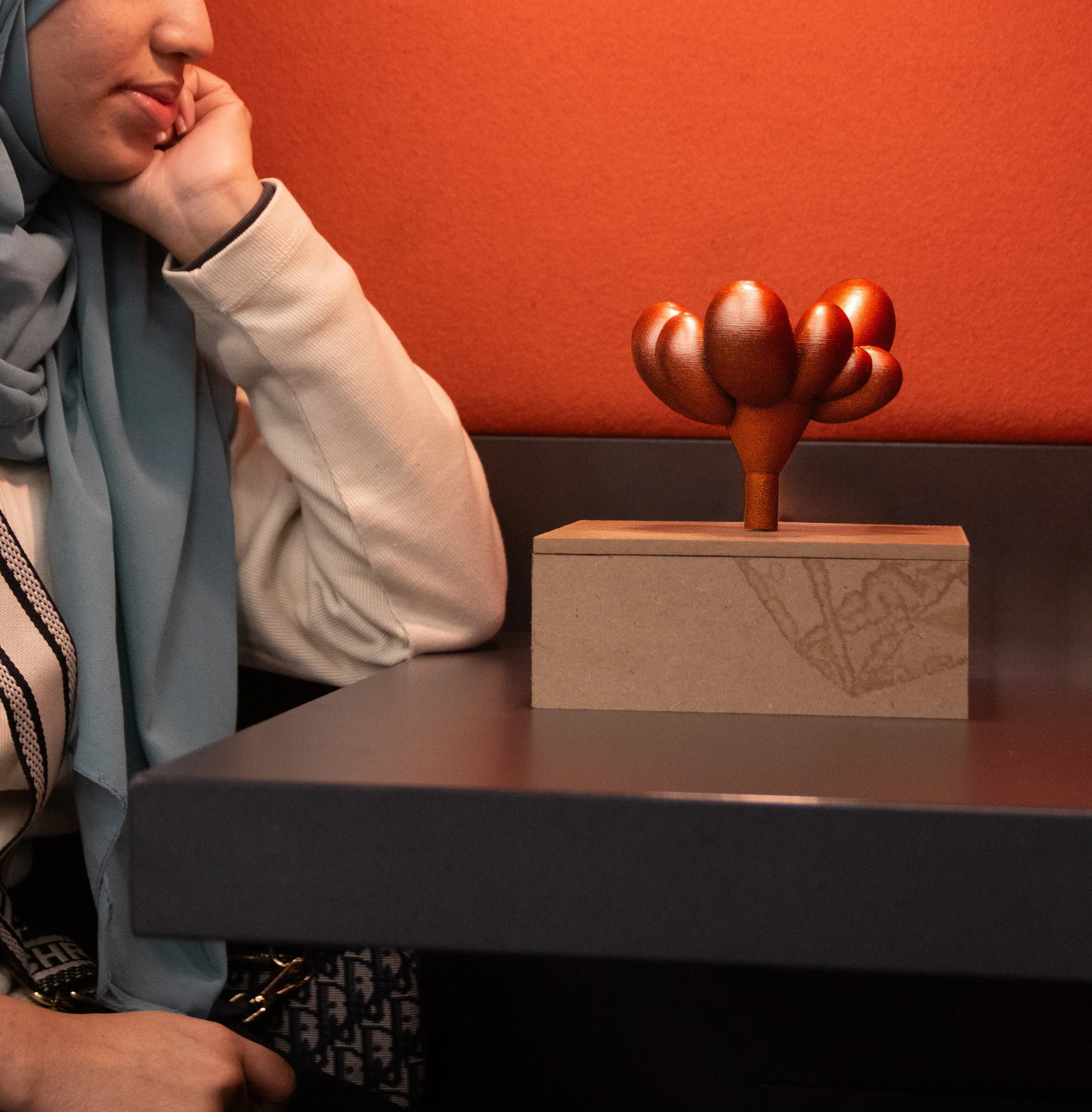 AE (viewing side).jpg