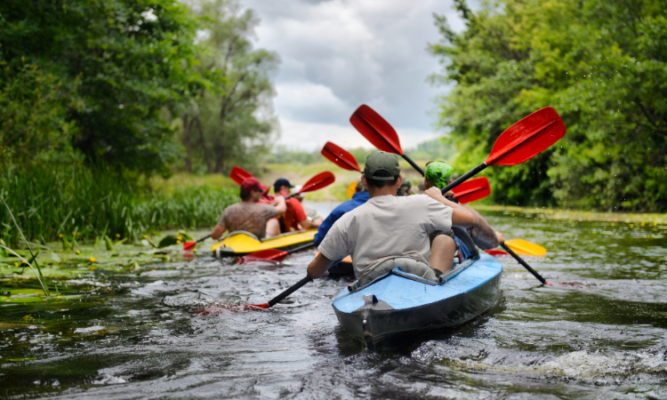 Group Kayaking Adventure on a Calm River.png