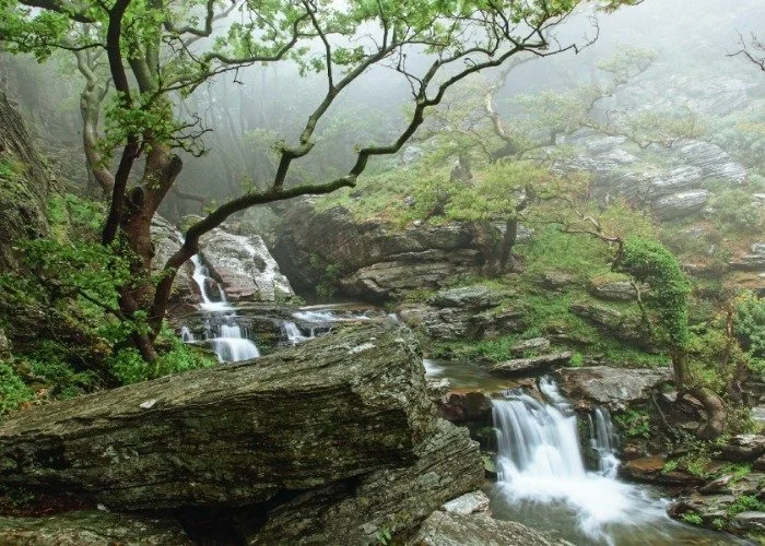 Platanistos Waterfall Karystos – Nature Trails South Evia.jpeg