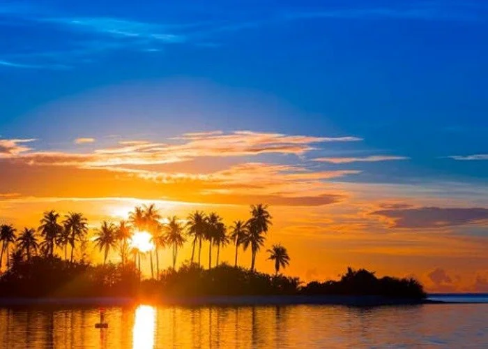 Maldives sunset with palm trees reflected in water.jpeg