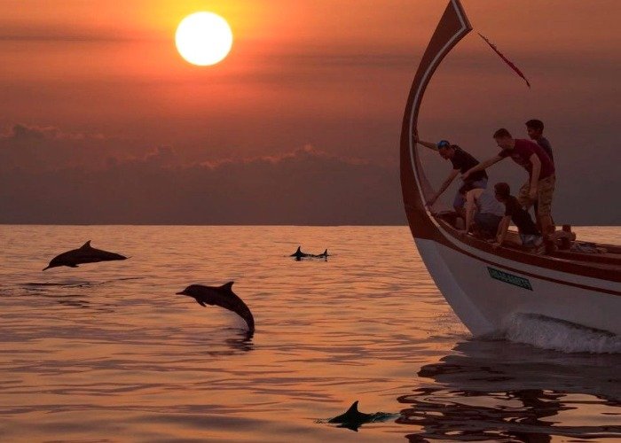 People on boat observe Maldives dolphins at sunset.jpeg