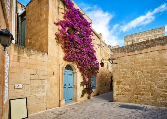 blue-door-vibrant-purple-bougainvillea-mdina-malta.jpg