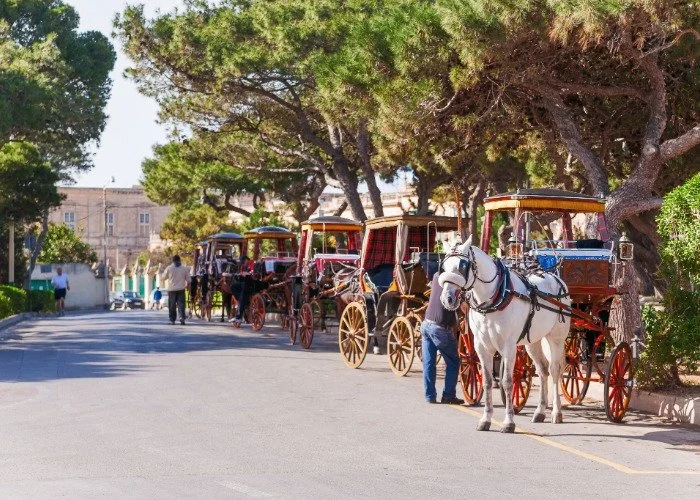horse-drawn-carriages-karrozzin-mdina-malta.jpg