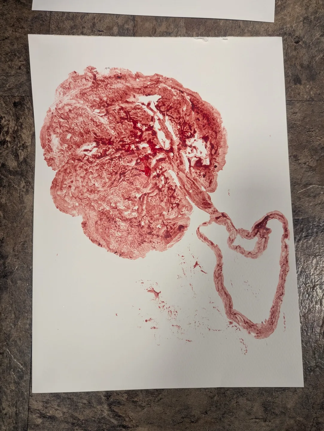 rs=w_1440,h_1440 (17).png