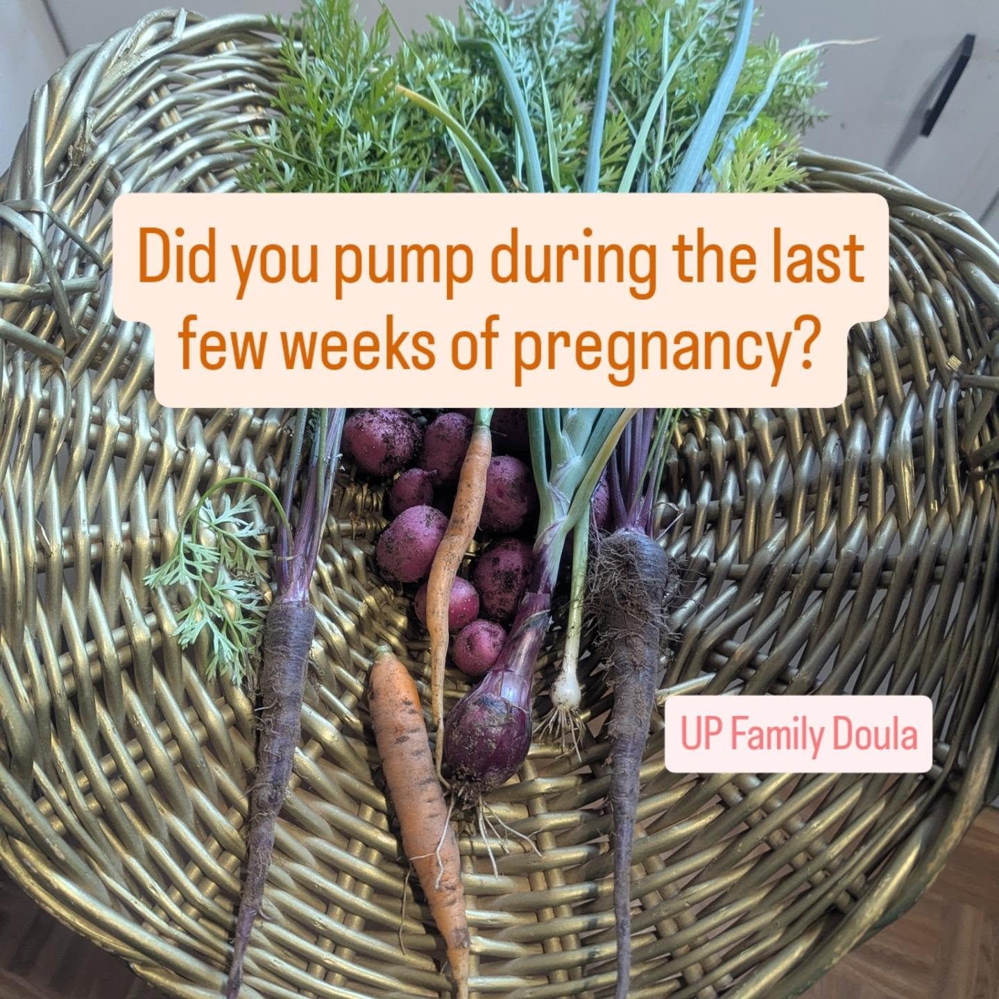 A super common question I get is, when do I start collecting colostrum?

I actually do not recommend pumping for collection during pregnancy.

I always recommend learning how to hand express and or you pumping during labor as a natural way to increas