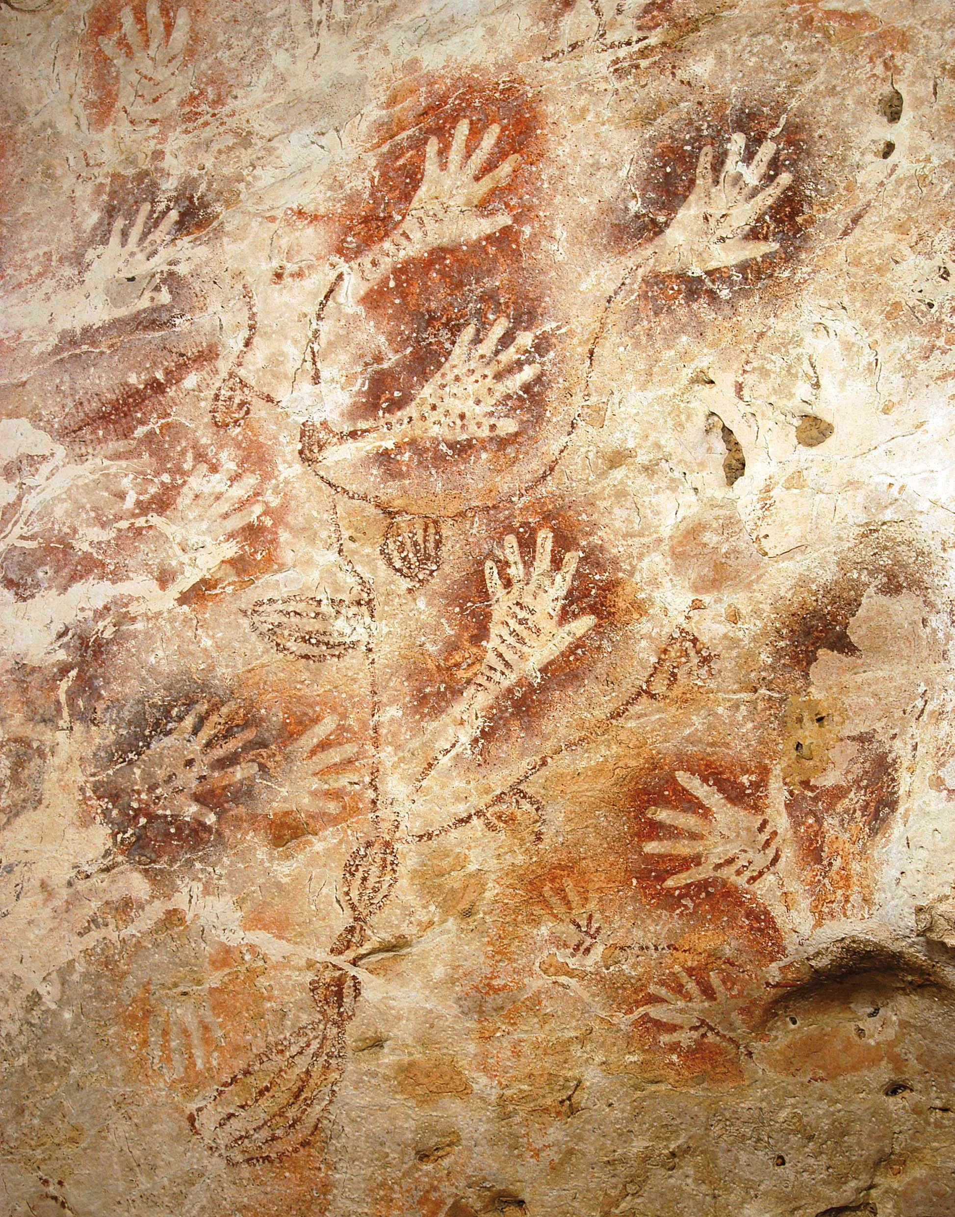 On a cave wall in Gua Tewet, Kalimantan, Indonesia, various stenciled hand profiles in between highly stylized vines with leaves said to represent the Tree of Life. c. 8,000 BCE