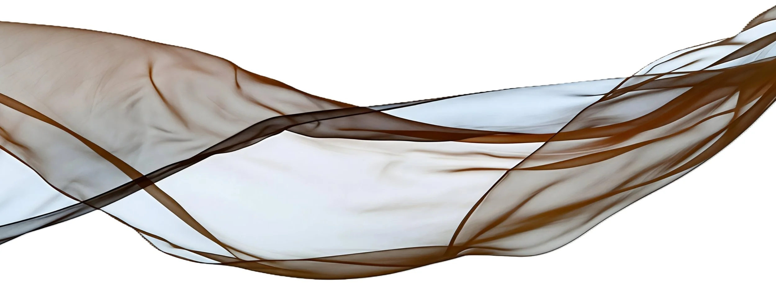 Bronze and pale blue chiffon twisting and flowing across screen to represent union of art and design