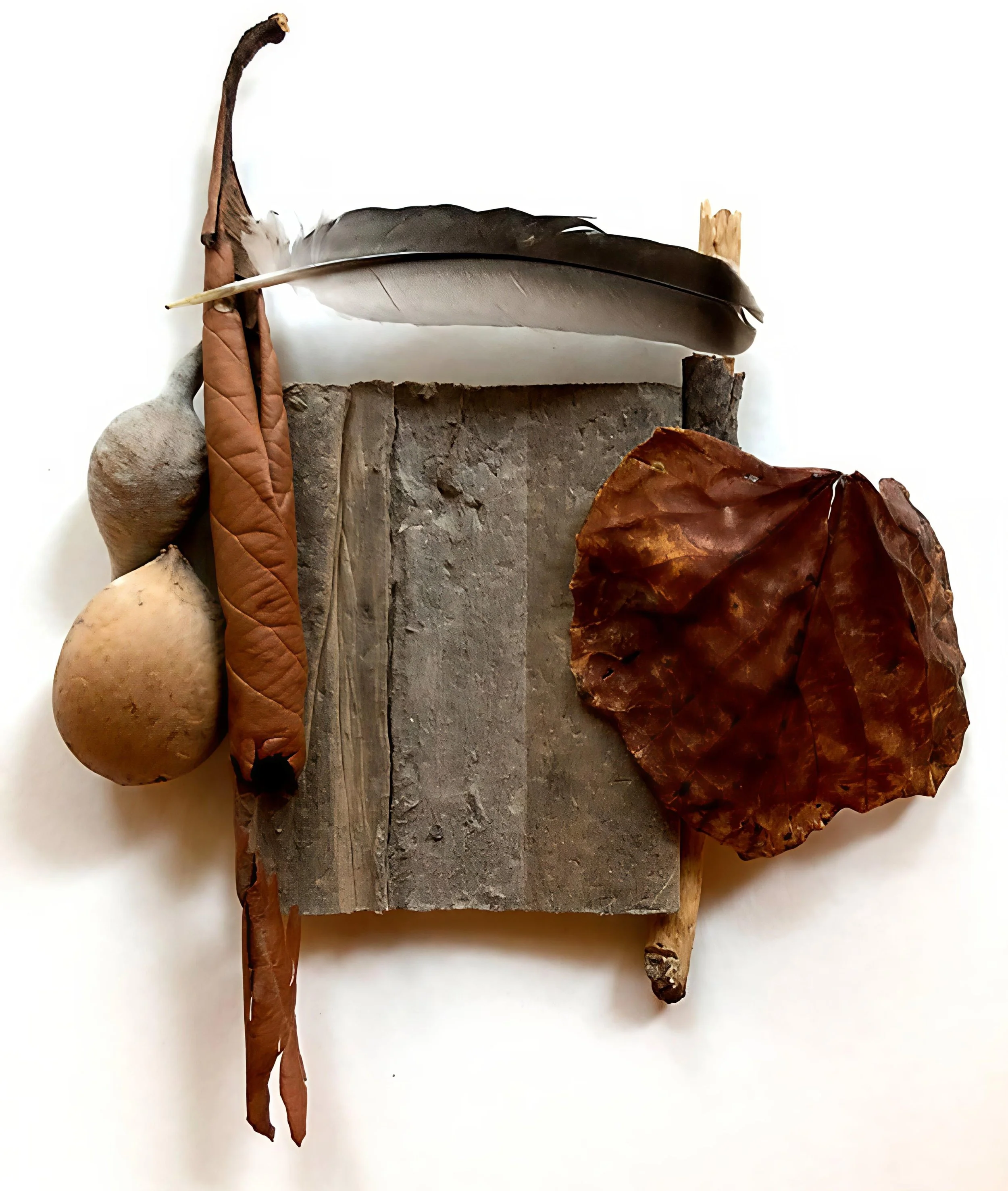 Assemblage composed of natural objects including wood, seeds, leaves, and a feather
