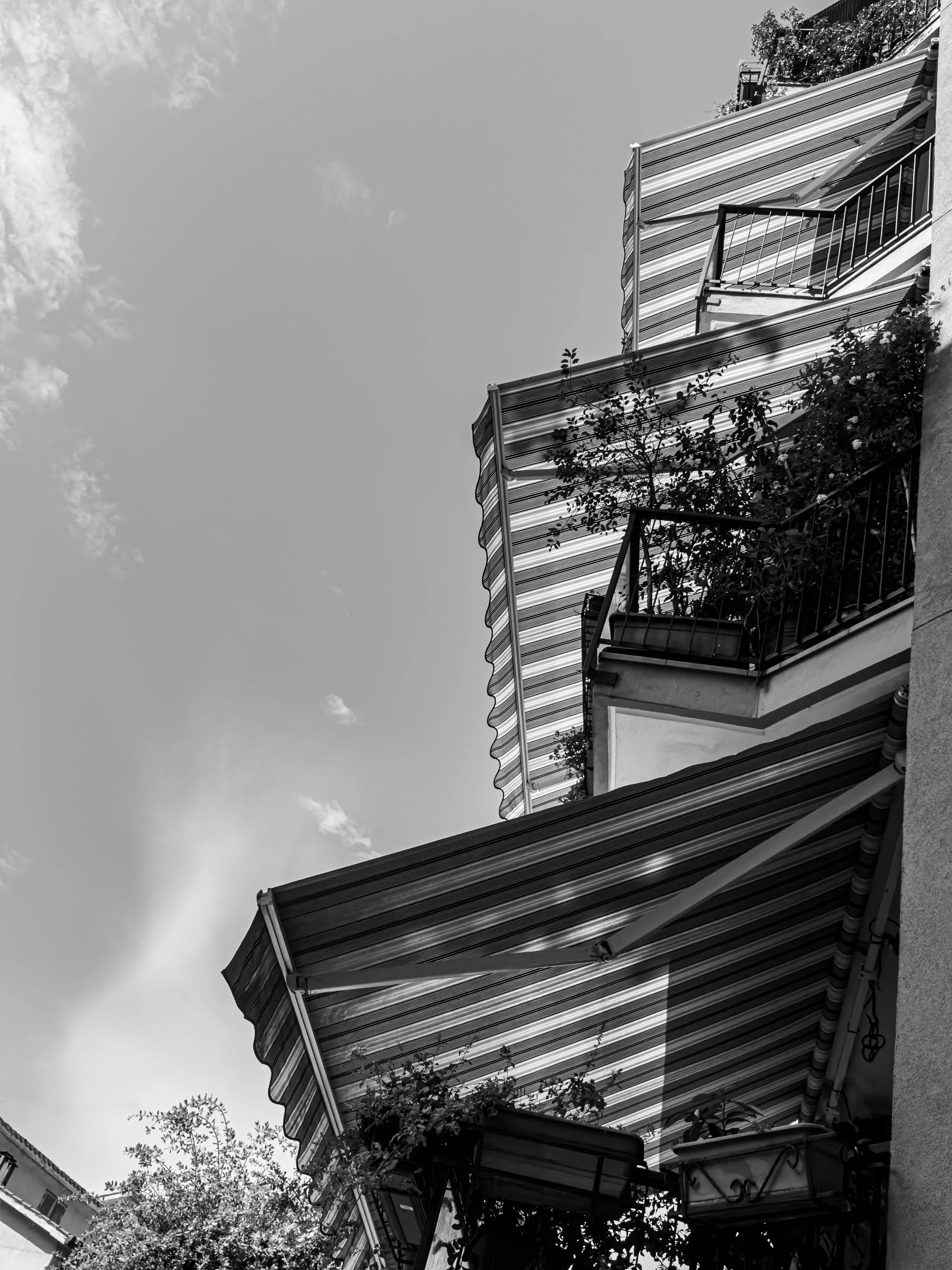 Padova day geometry shadow sun.jpg