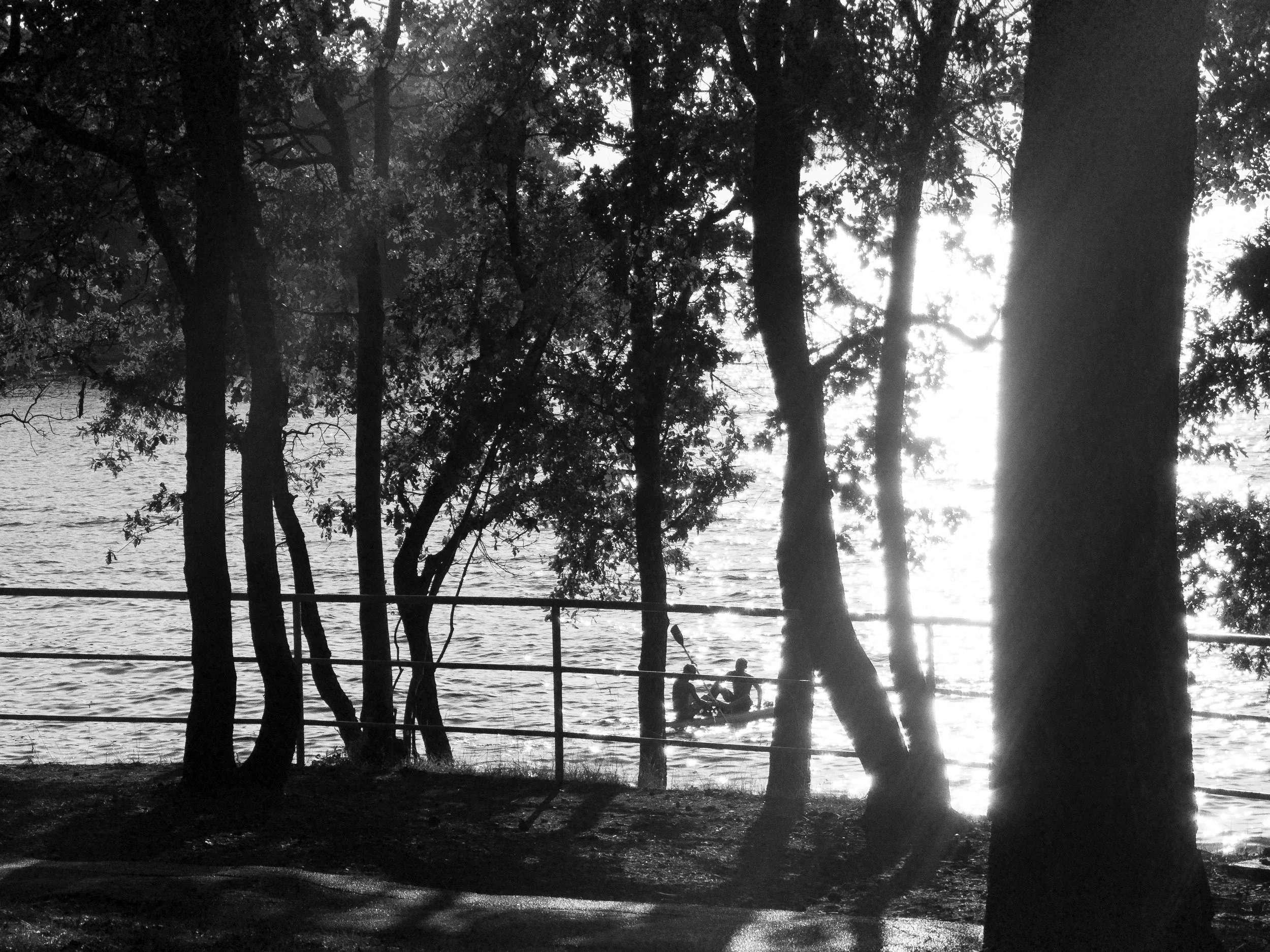 Croatia sea canoe trees day.jpg