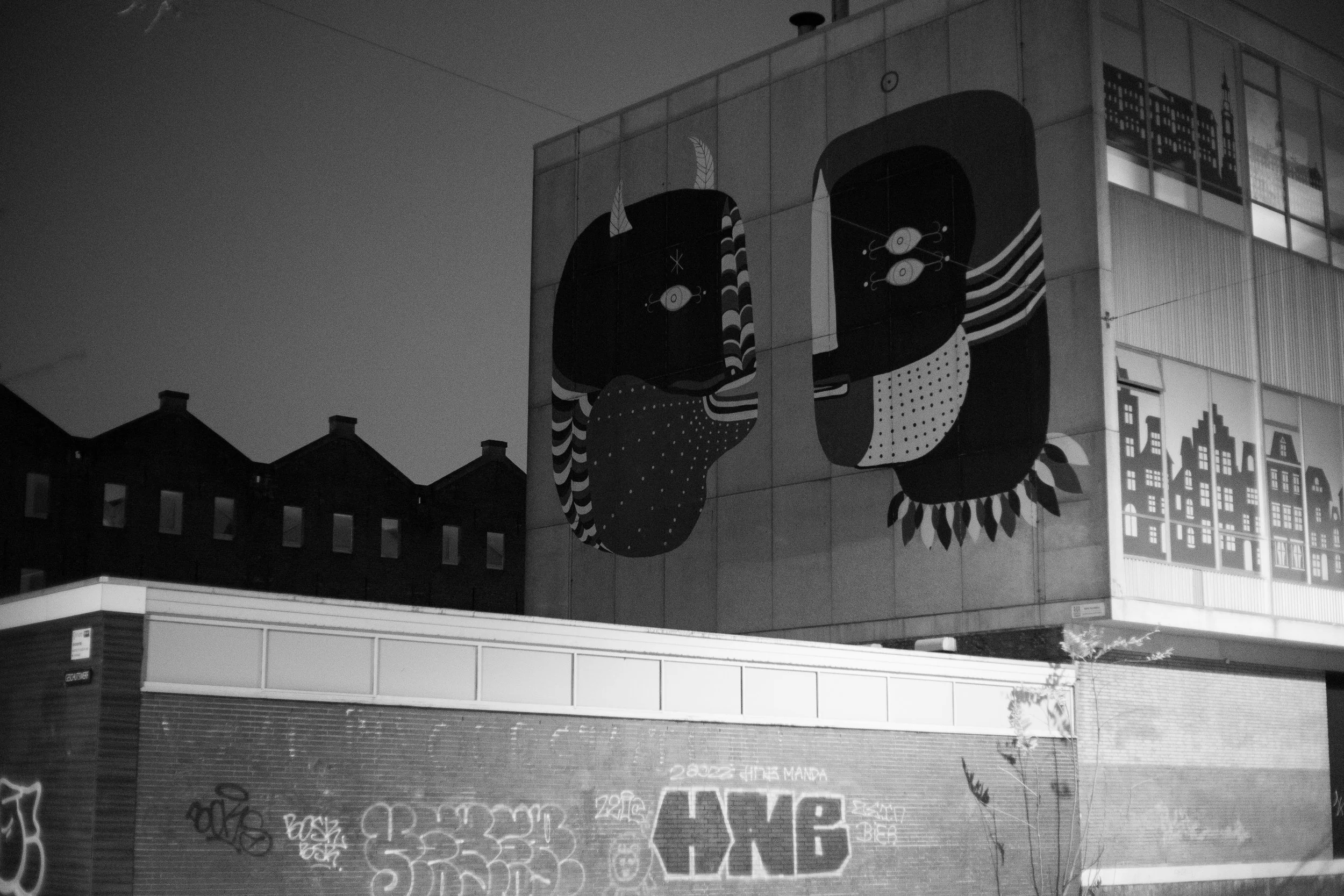 Amsterdam night street art.jpg