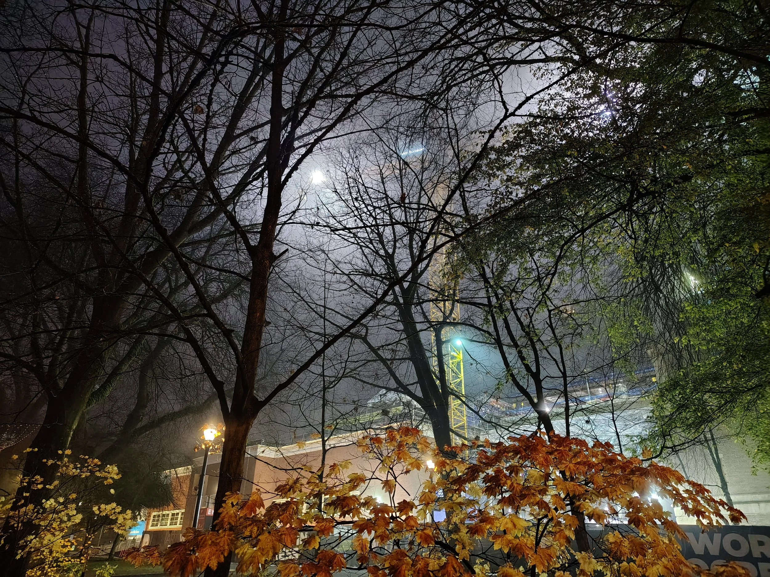 Construction at the Portland Art Museum on a foggy winter morning  | Cell phone photo